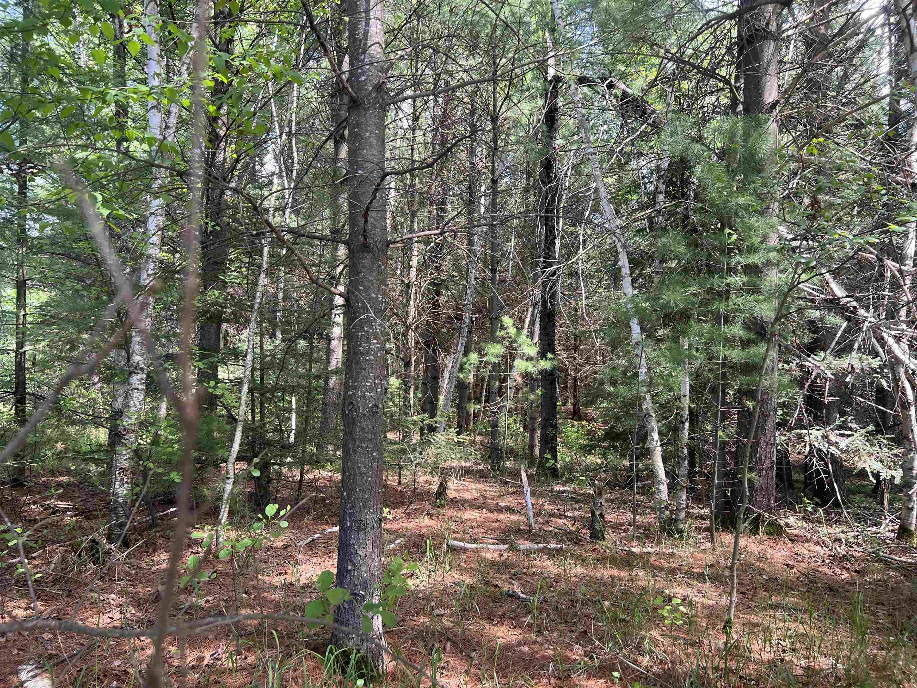 W4396 RUSSELL COURT, Merrill, Wisconsin 54452, ,Land,For Sale,W4396 RUSSELL COURT,22602393
