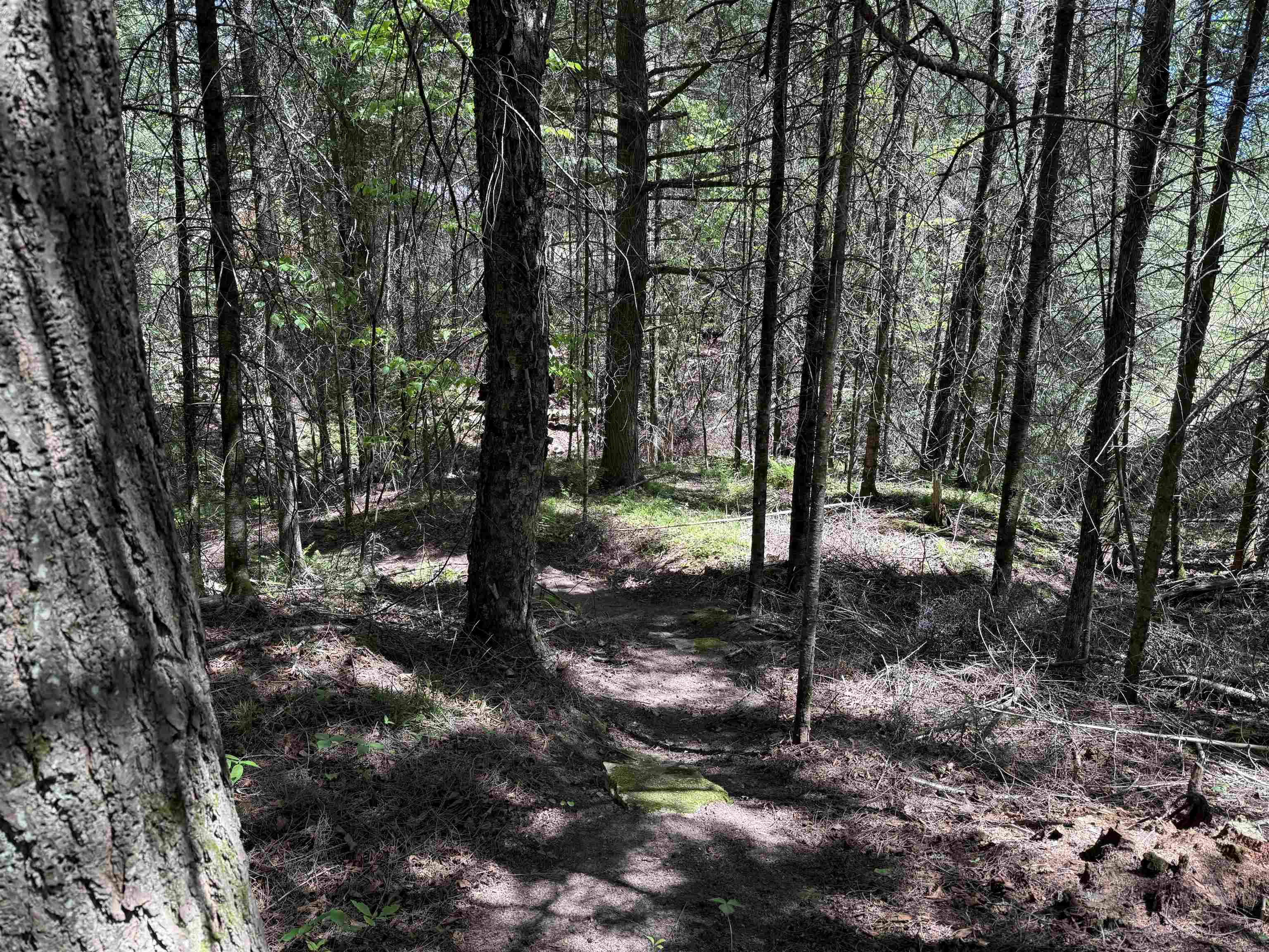 W9714 STATE HIGHWAY 70, Park Falls, Wisconsin 54552, ,Land,For Sale,W9714 STATE HIGHWAY 70,22602401