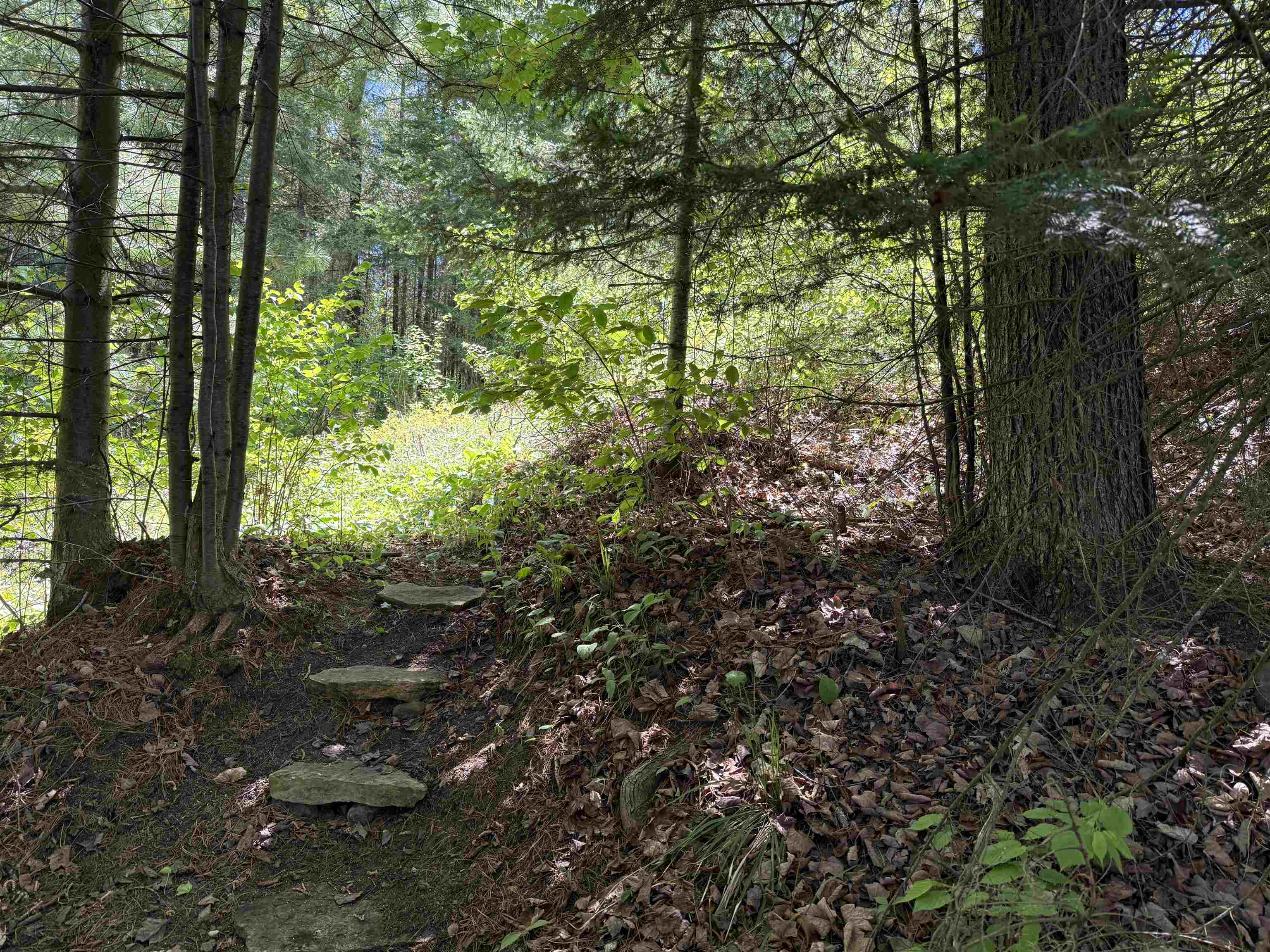 W9714 STATE HIGHWAY 70, Park Falls, Wisconsin 54552, ,Land,For Sale,W9714 STATE HIGHWAY 70,22602401