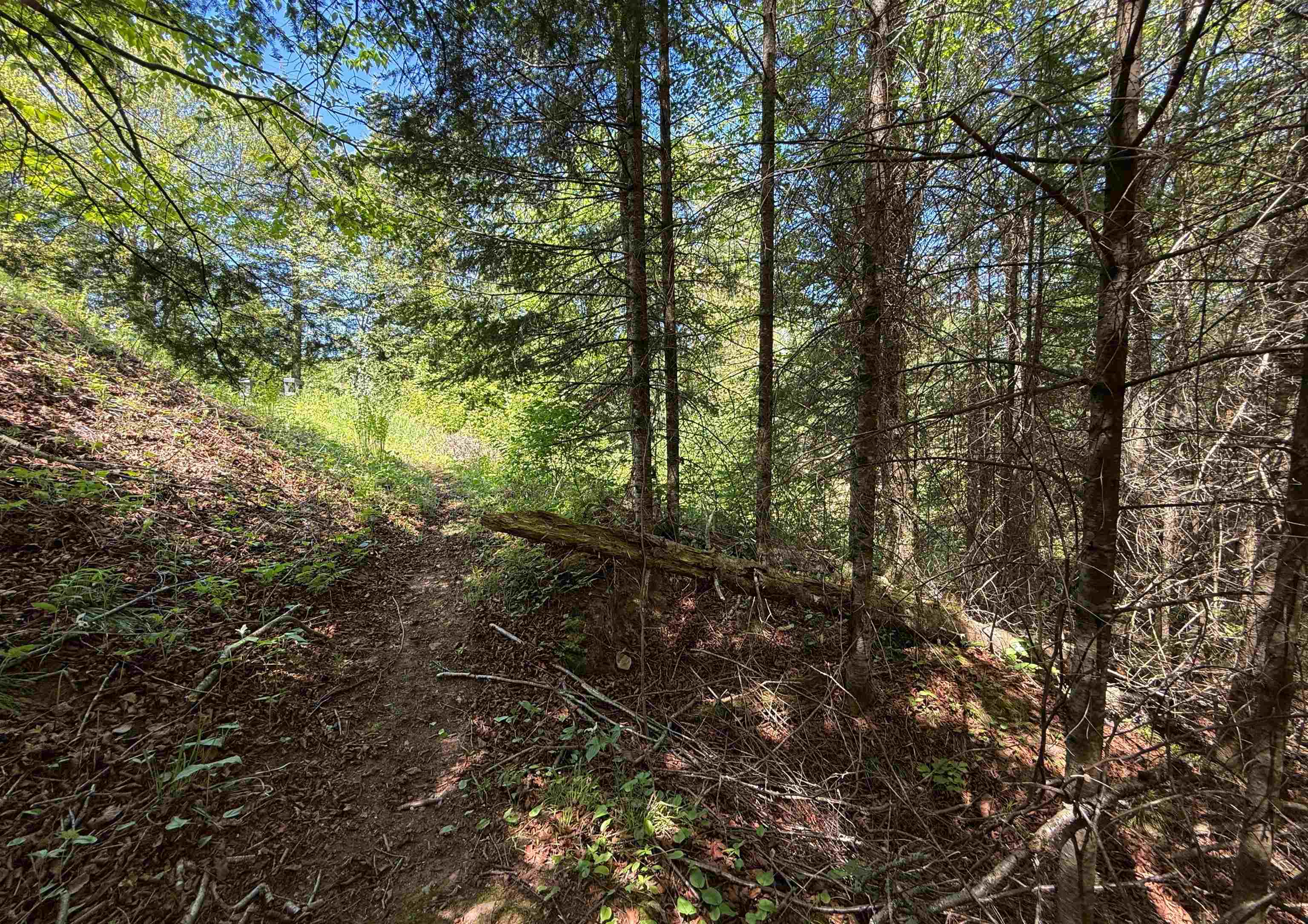 W9714 STATE HIGHWAY 70, Park Falls, Wisconsin 54552, ,Land,For Sale,W9714 STATE HIGHWAY 70,22602401