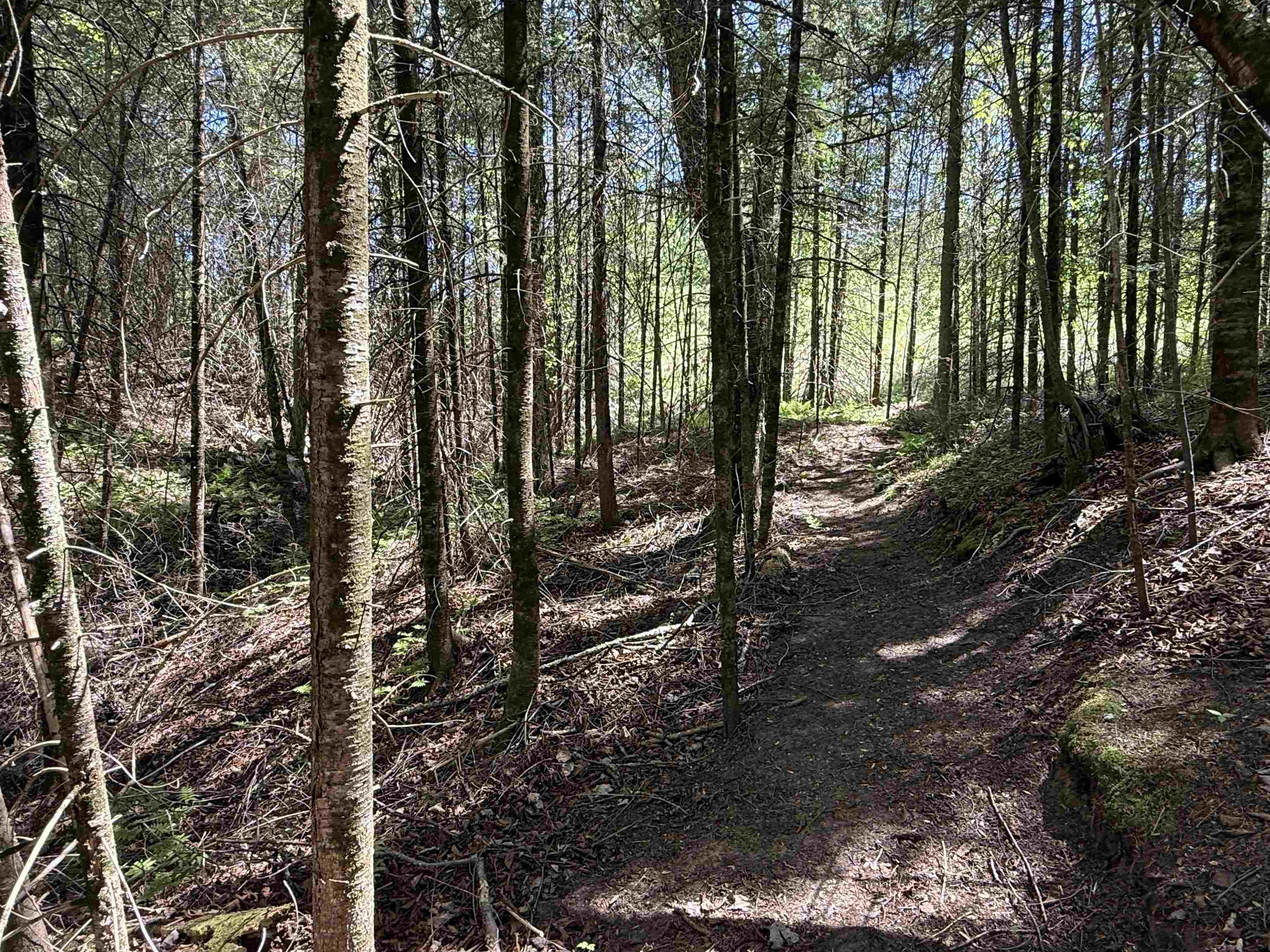 W9714 STATE HIGHWAY 70, Park Falls, Wisconsin 54552, ,Land,For Sale,W9714 STATE HIGHWAY 70,22602401