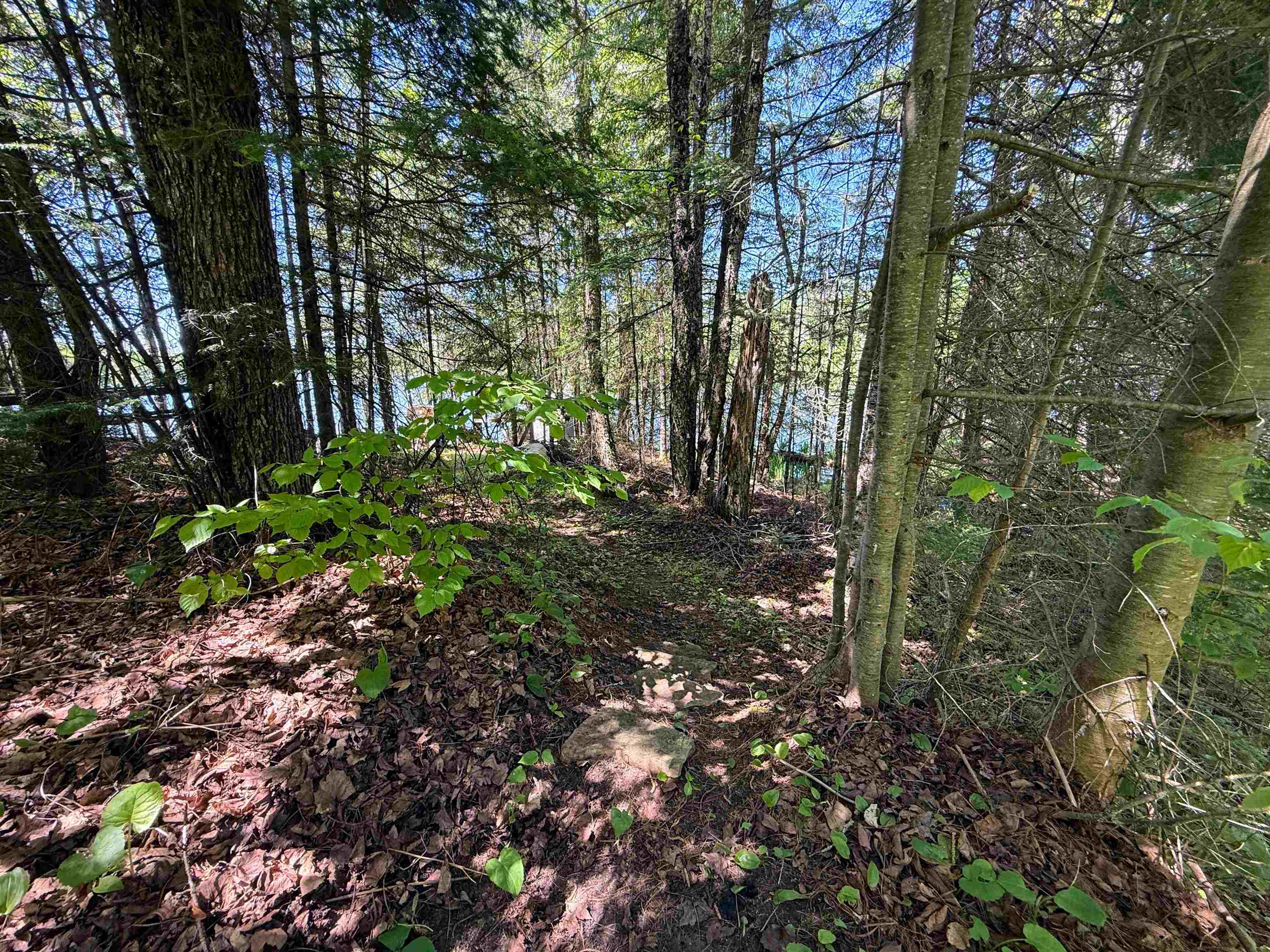 W9714 STATE HIGHWAY 70, Park Falls, Wisconsin 54552, ,Land,For Sale,W9714 STATE HIGHWAY 70,22602401