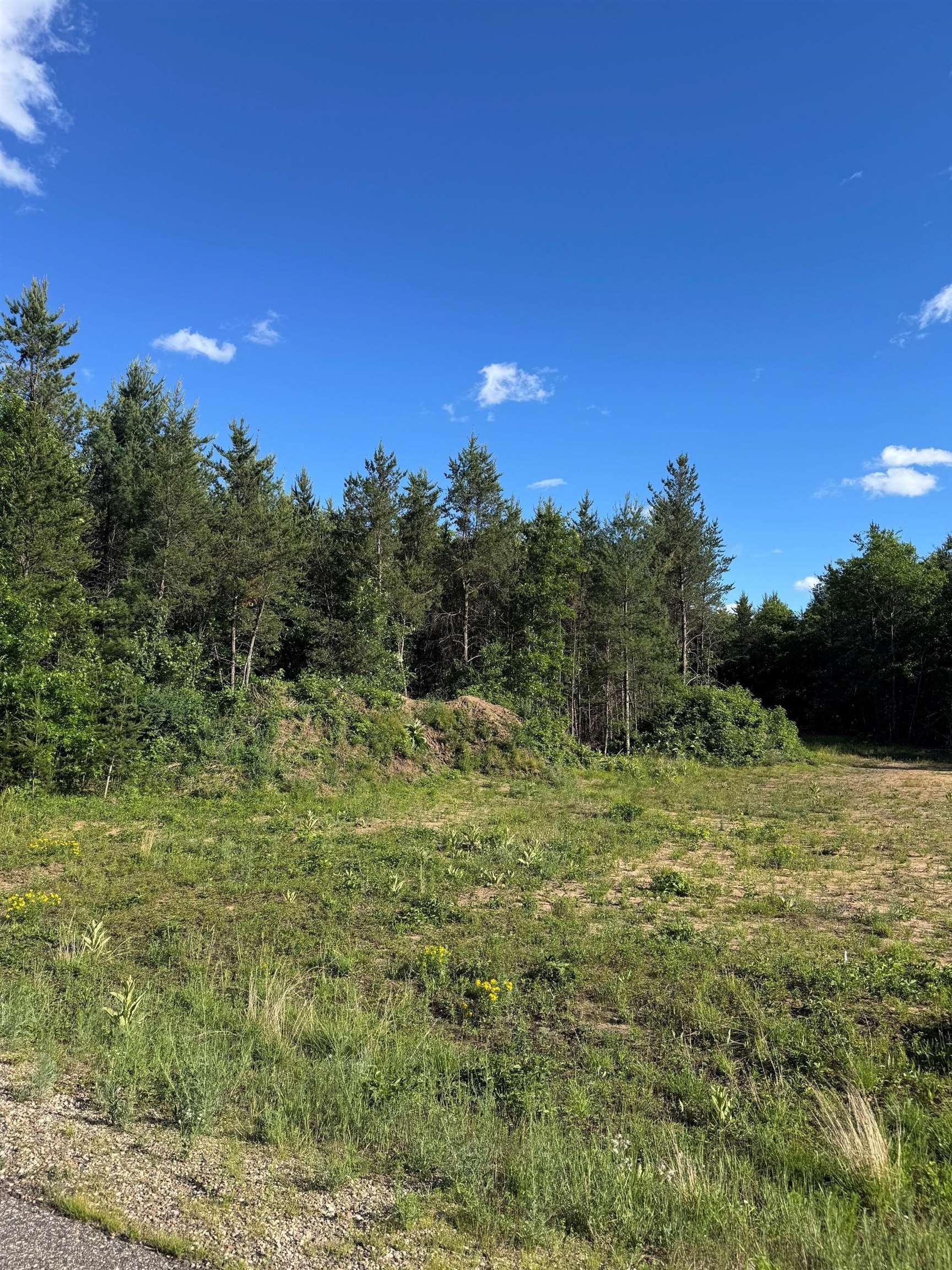 Lot 30 RED TAIL HAWK DRIVE, Stevens Point, Wisconsin 54482, ,Land,For Sale,Lot 30 RED TAIL HAWK DRIVE,22602474