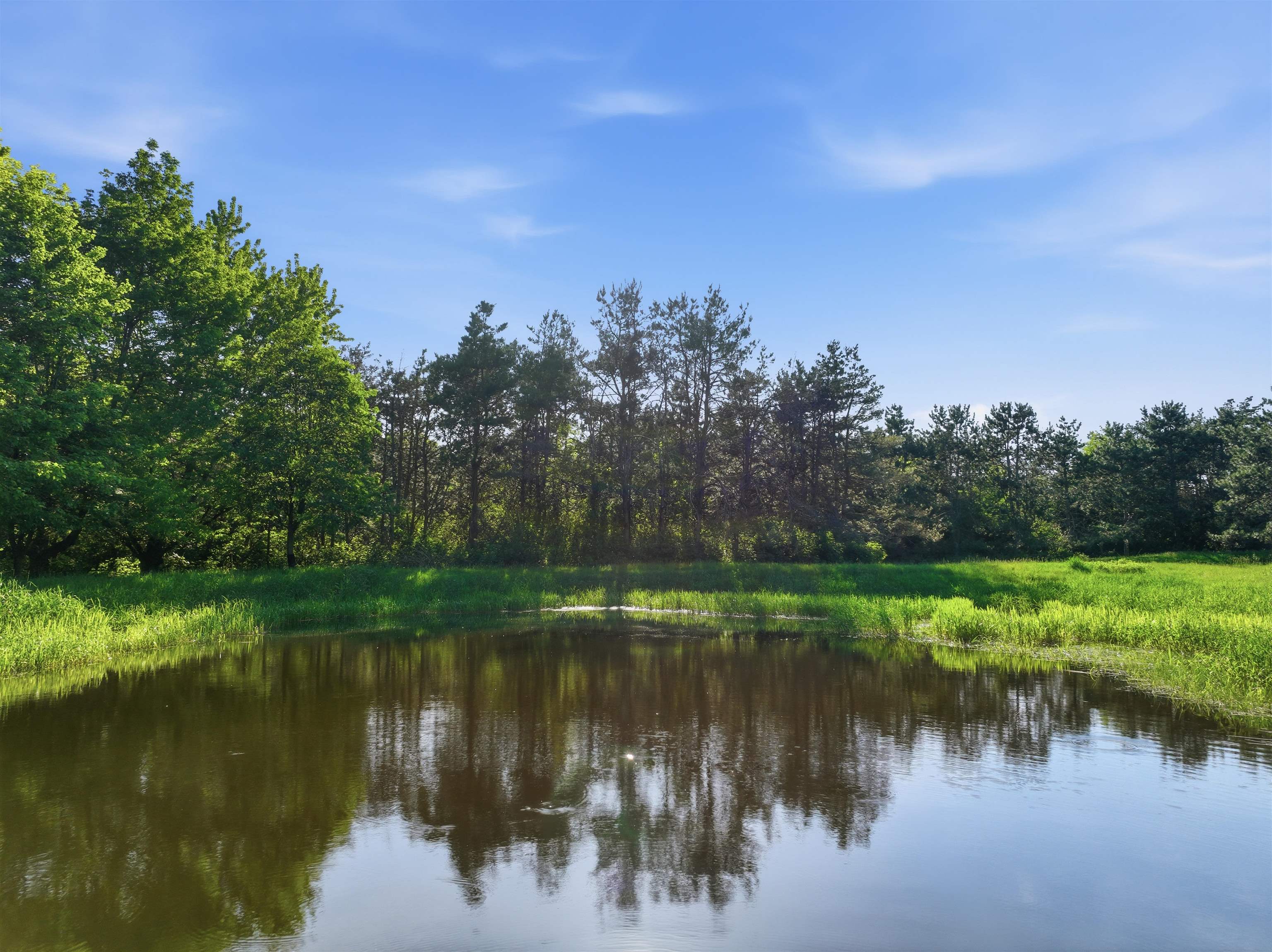 10750 BOB O LINK DRIVE, Marshfield, Wisconsin 54449, ,Land,For Sale,10750 BOB O LINK DRIVE,22602515