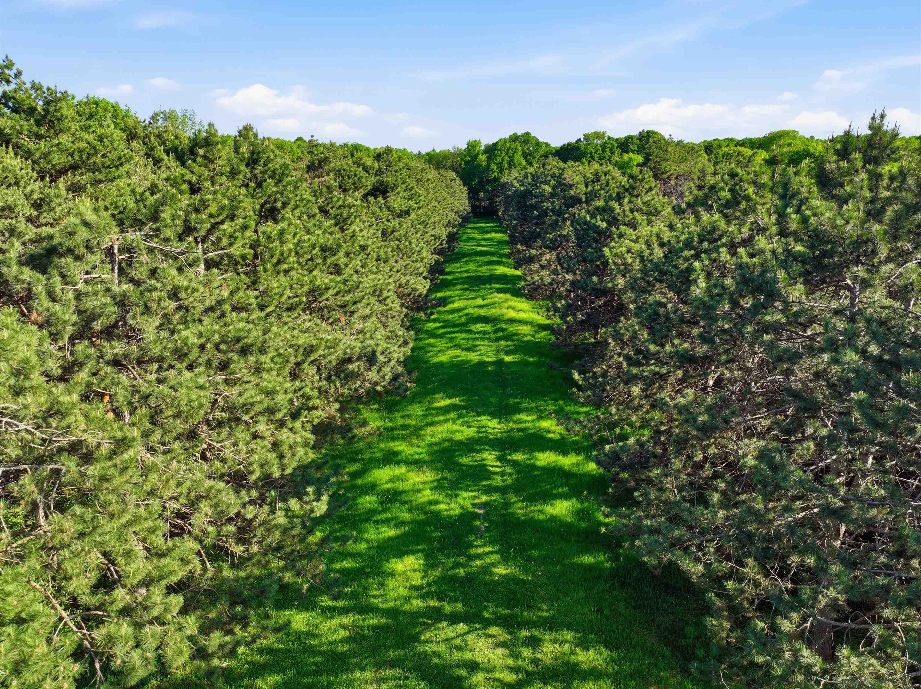 10750 BOB O LINK DRIVE, Marshfield, Wisconsin 54449, ,Land,For Sale,10750 BOB O LINK DRIVE,22602515