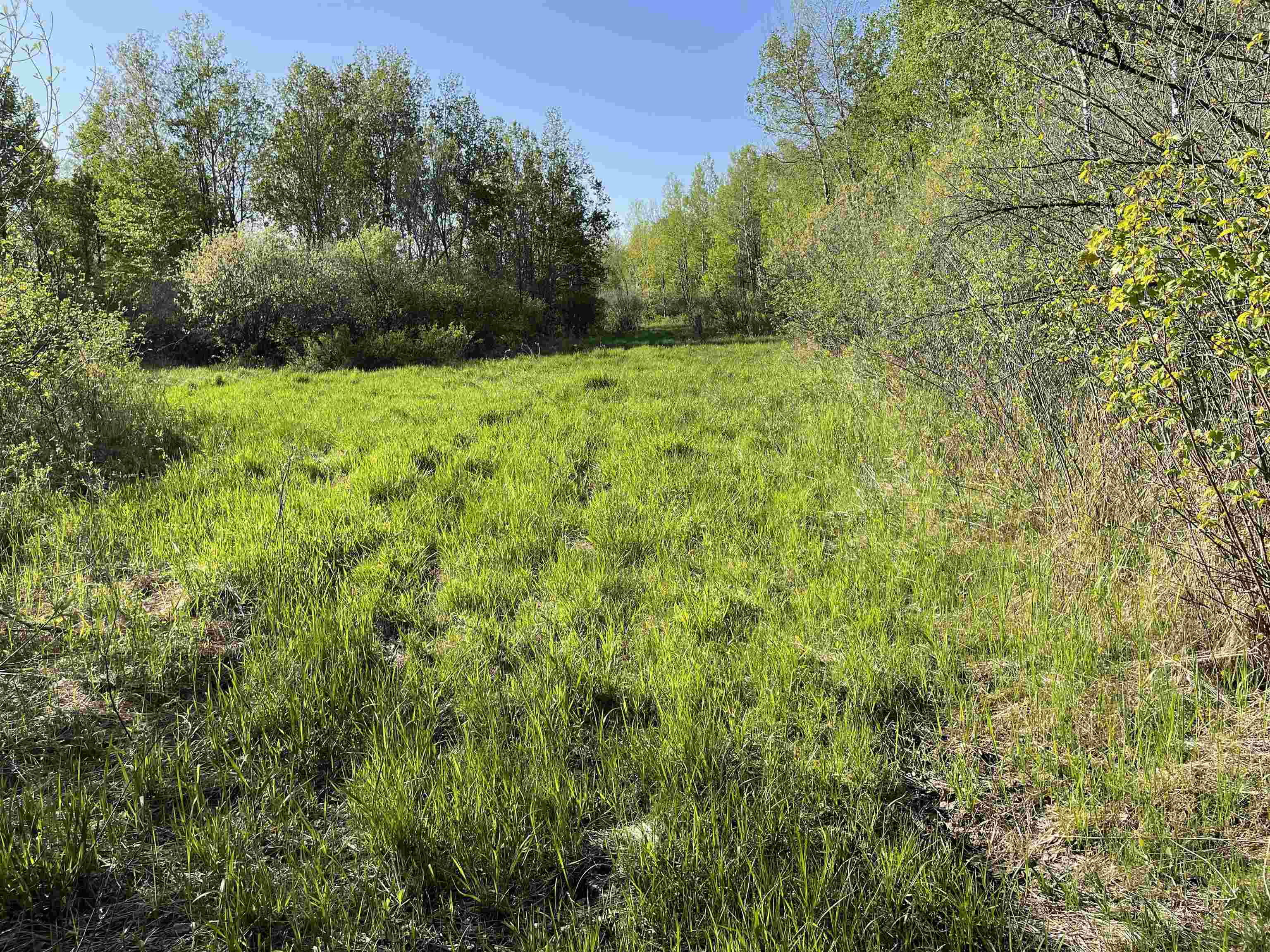 10773 COUNTY ROAD K, AUBURN, Wisconsin 54412, ,Land,For Sale,10773 COUNTY ROAD K,22602569