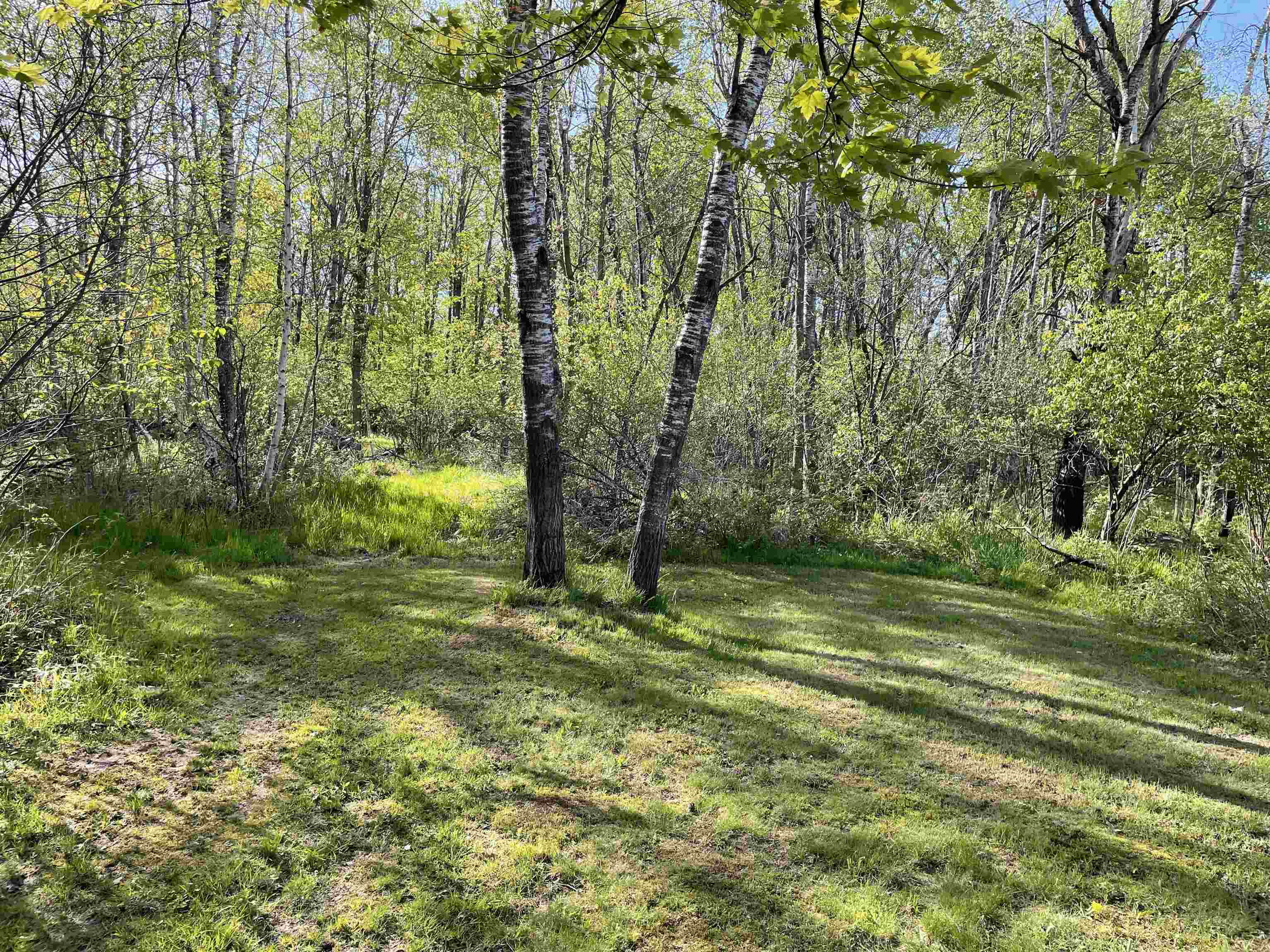 10773 COUNTY ROAD K, AUBURN, Wisconsin 54412, ,Land,For Sale,10773 COUNTY ROAD K,22602569