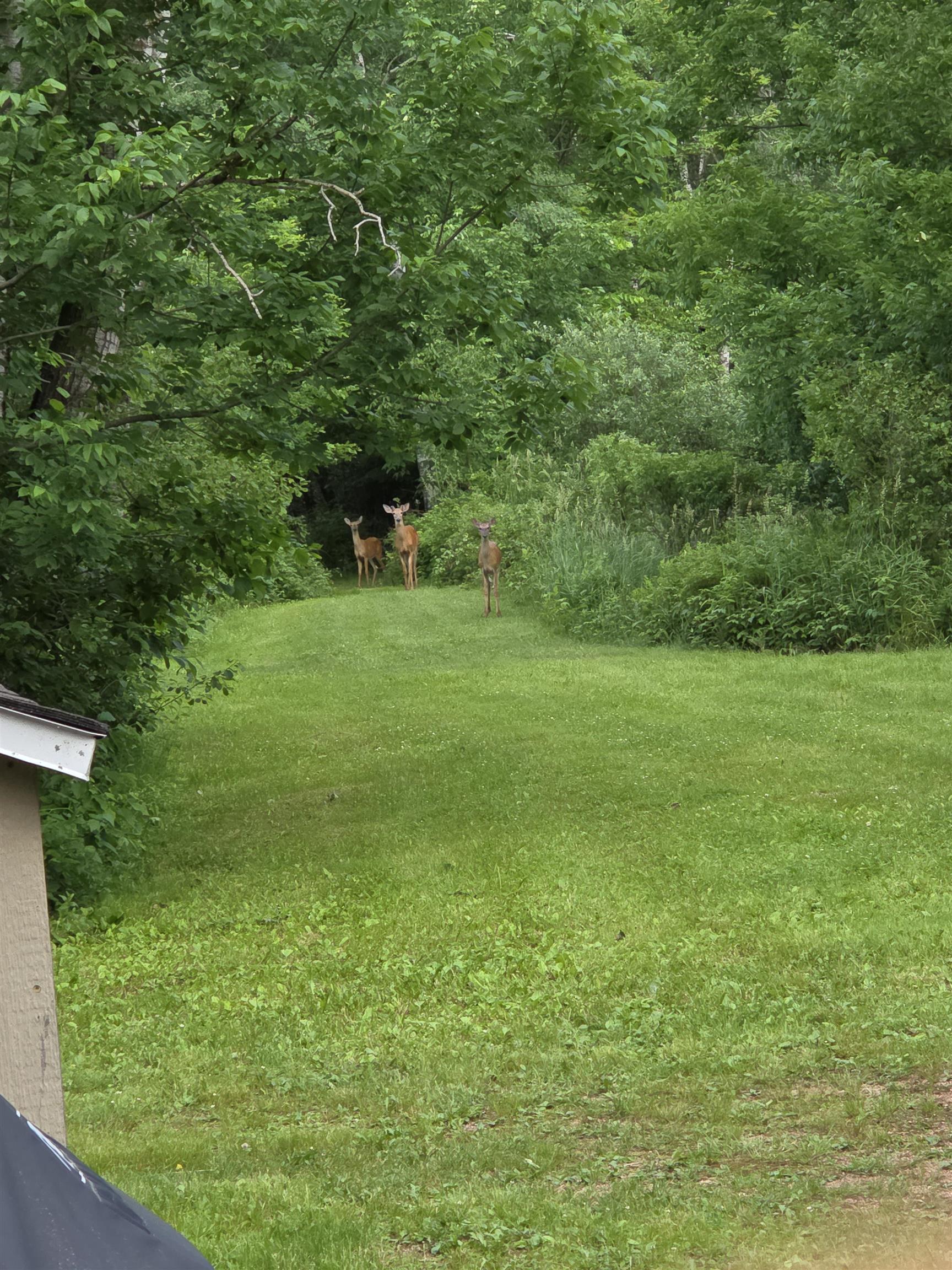 10773 COUNTY ROAD K, AUBURN, Wisconsin 54412, ,Land,For Sale,10773 COUNTY ROAD K,22602569