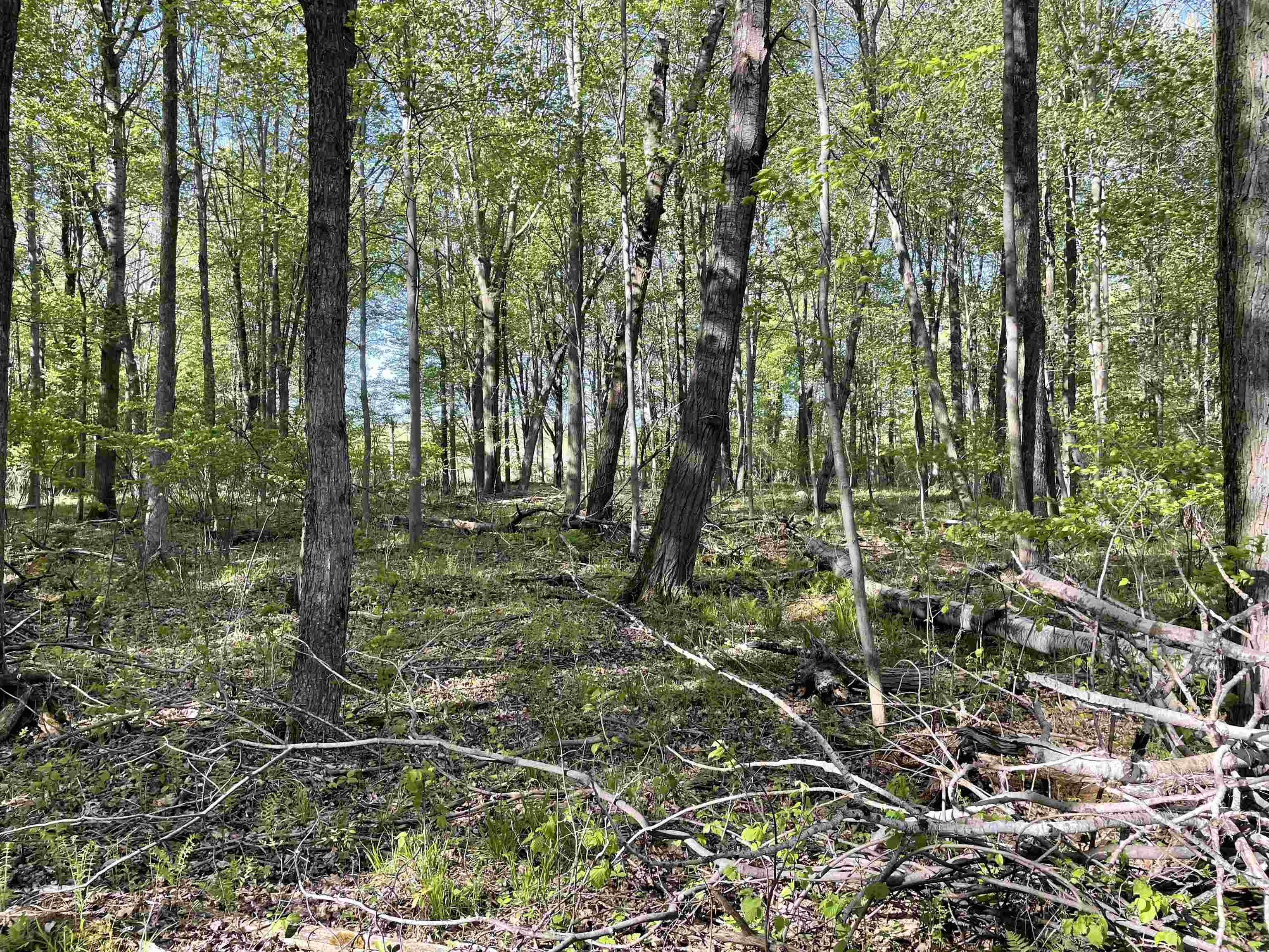 10773 COUNTY ROAD K, AUBURN, Wisconsin 54412, ,Land,For Sale,10773 COUNTY ROAD K,22602569
