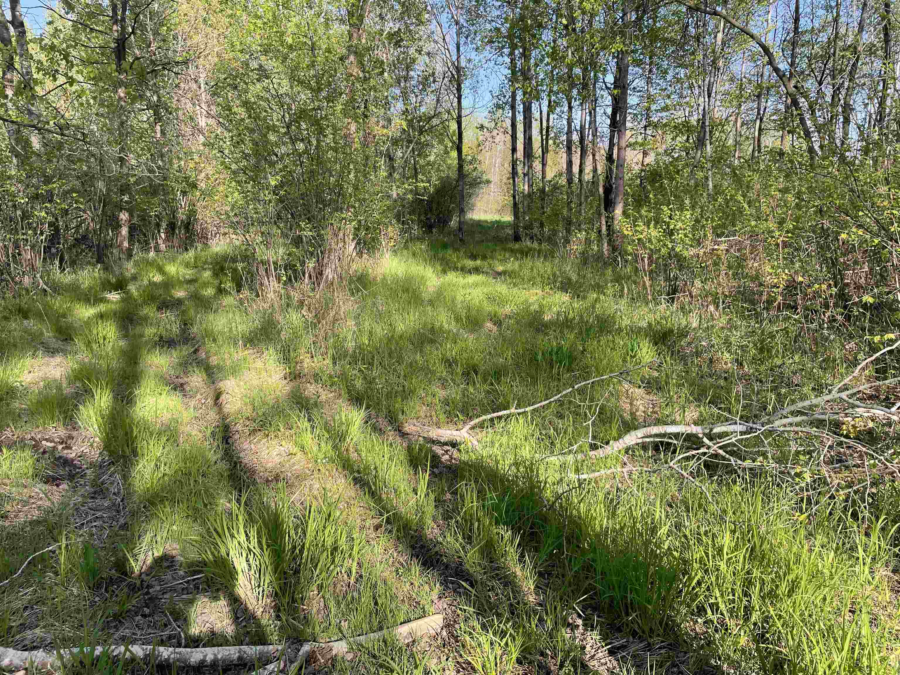 10773 COUNTY ROAD K, AUBURN, Wisconsin 54412, ,Land,For Sale,10773 COUNTY ROAD K,22602569
