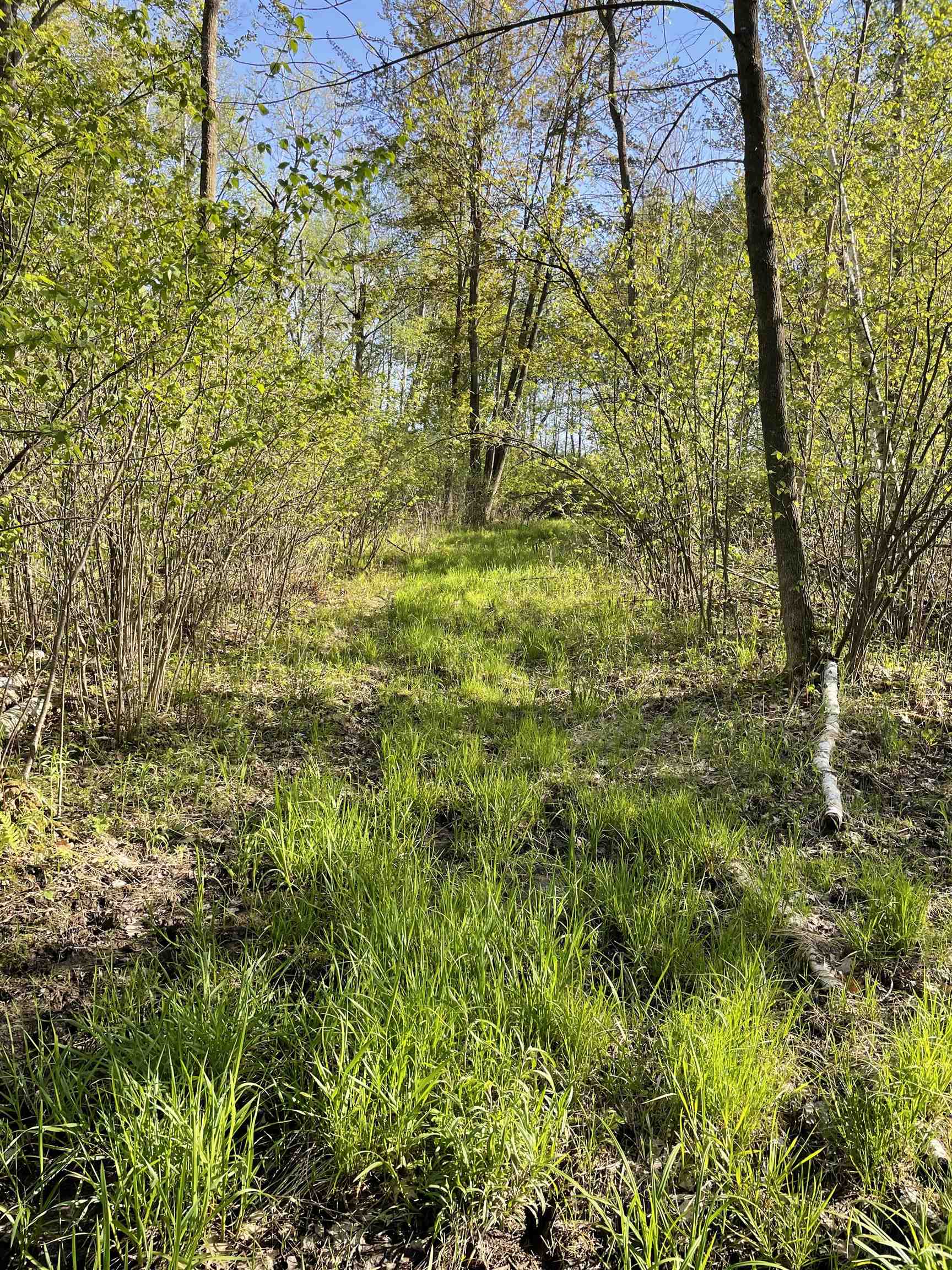 10773 COUNTY ROAD K, AUBURN, Wisconsin 54412, ,Land,For Sale,10773 COUNTY ROAD K,22602569