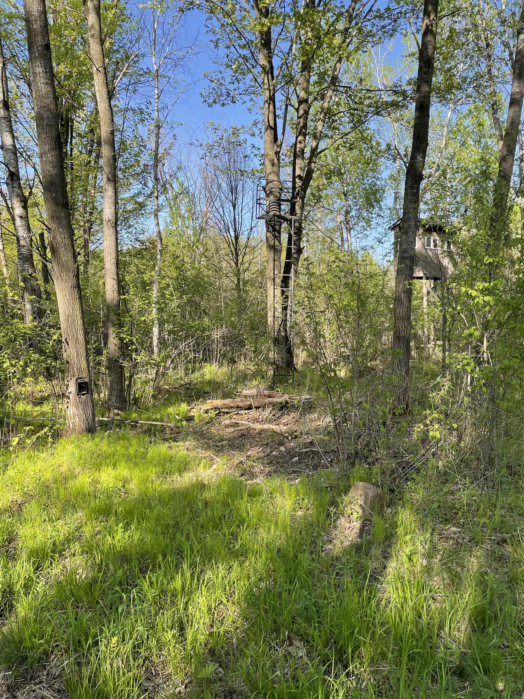 10773 COUNTY ROAD K, AUBURN, Wisconsin 54412, ,Land,For Sale,10773 COUNTY ROAD K,22602569