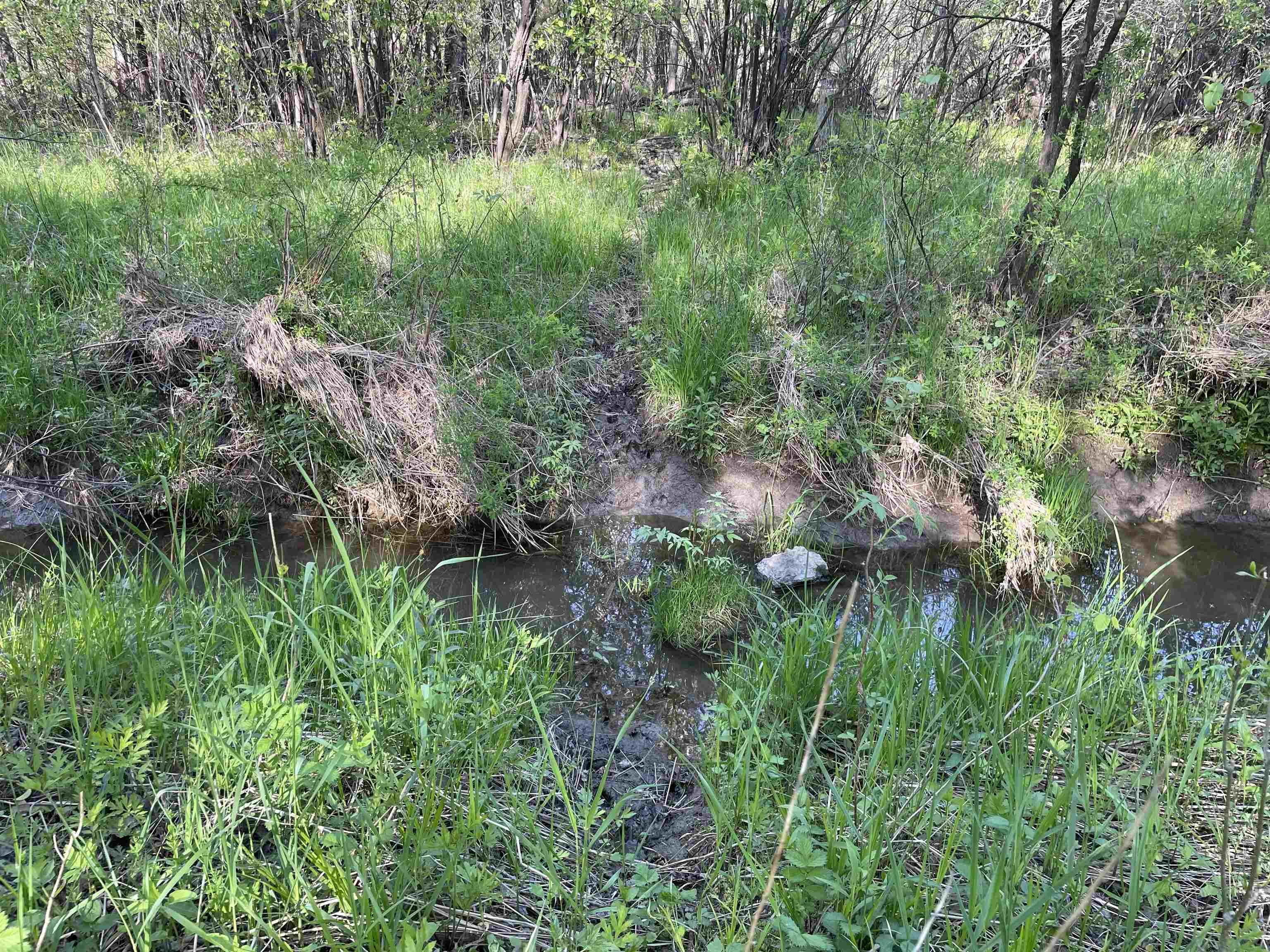 10773 COUNTY ROAD K, AUBURN, Wisconsin 54412, ,Land,For Sale,10773 COUNTY ROAD K,22602569