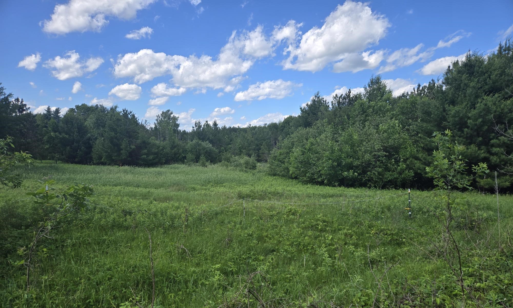 402 GRANITE RIDGE ROAD WEST, Stevens Point, Wisconsin 54481, 4 Bedrooms Bedrooms, ,3 BathroomsBathrooms,Residential,For Sale,402 GRANITE RIDGE ROAD WEST,22602582