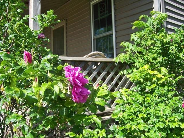 208 S WEST STREET, Loyal, Wisconsin 54446, 3 Bedrooms Bedrooms, ,1 BathroomBathrooms,Residential,For Sale,208 S WEST STREET,22602585