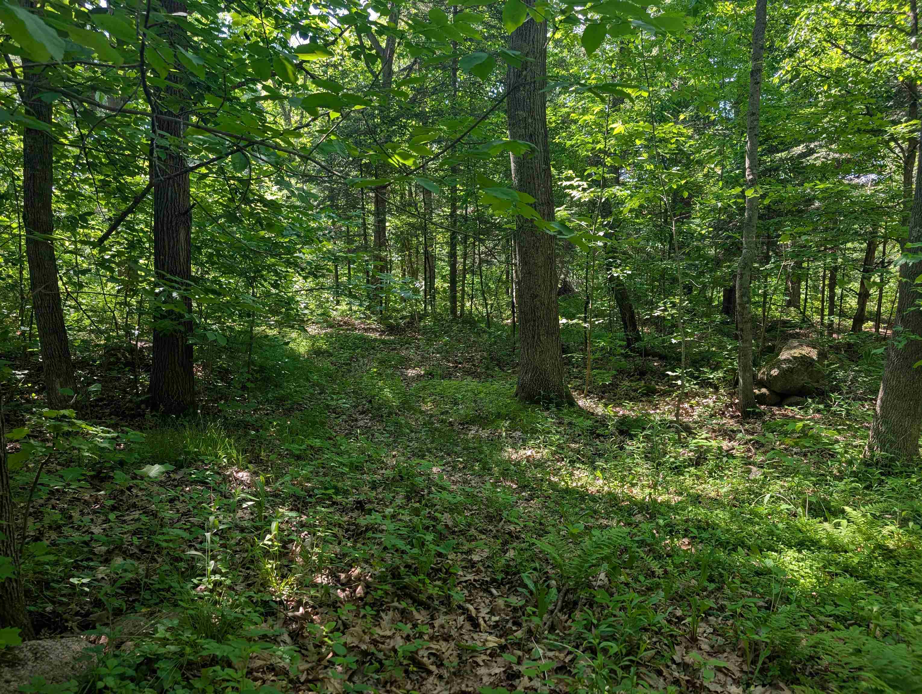 222814 HIDDEN VALLEY ROAD, Hatley, Wisconsin 54440, 3 Bedrooms Bedrooms, ,3 BathroomsBathrooms,Residential,For Sale,222814 HIDDEN VALLEY ROAD,22602587