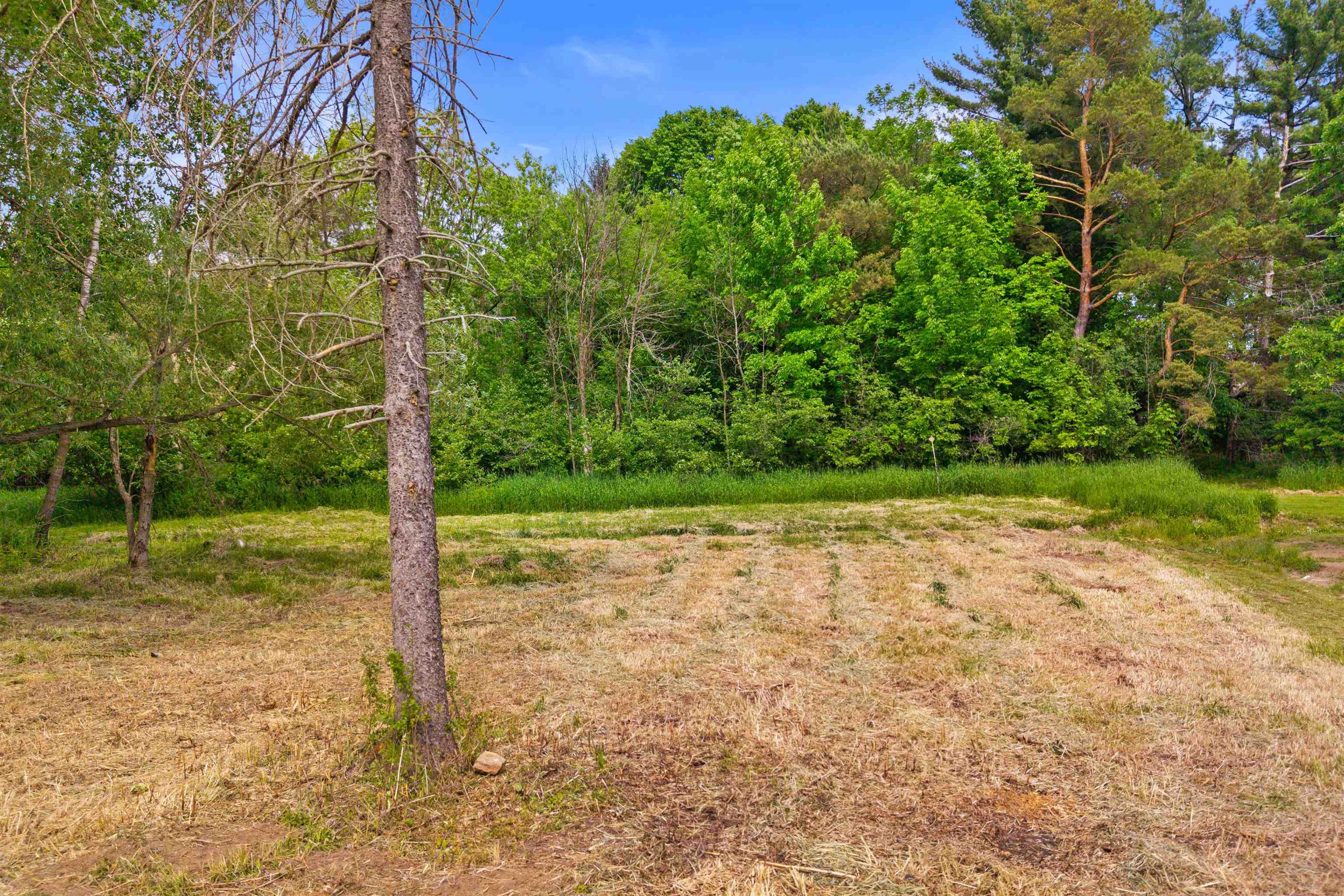 0.44 Acre Lot MAPLE STREET, Arpin, Wisconsin 54410, ,Land,For Sale,0.44 Acre Lot MAPLE STREET,22602588