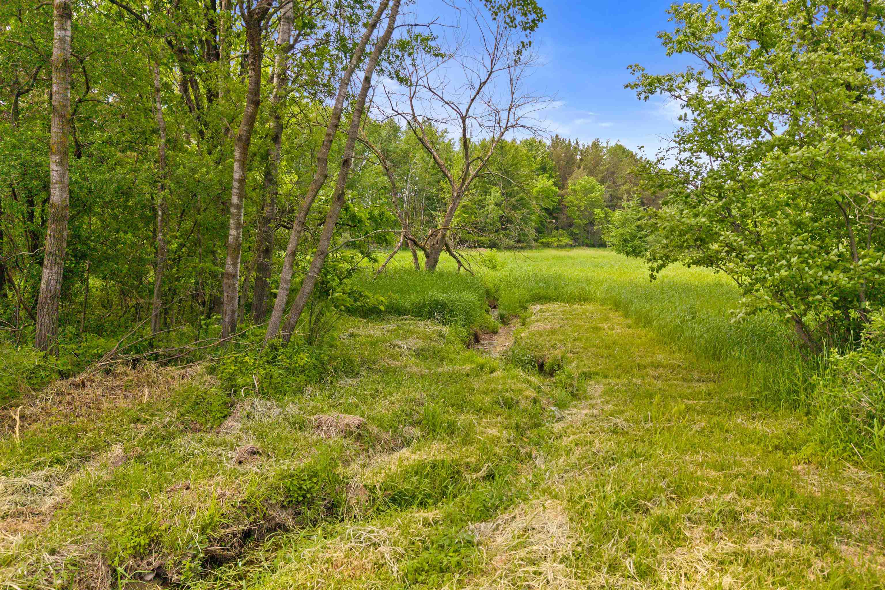 0.44 Acre Lot MAPLE STREET, Arpin, Wisconsin 54410, ,Land,For Sale,0.44 Acre Lot MAPLE STREET,22602588