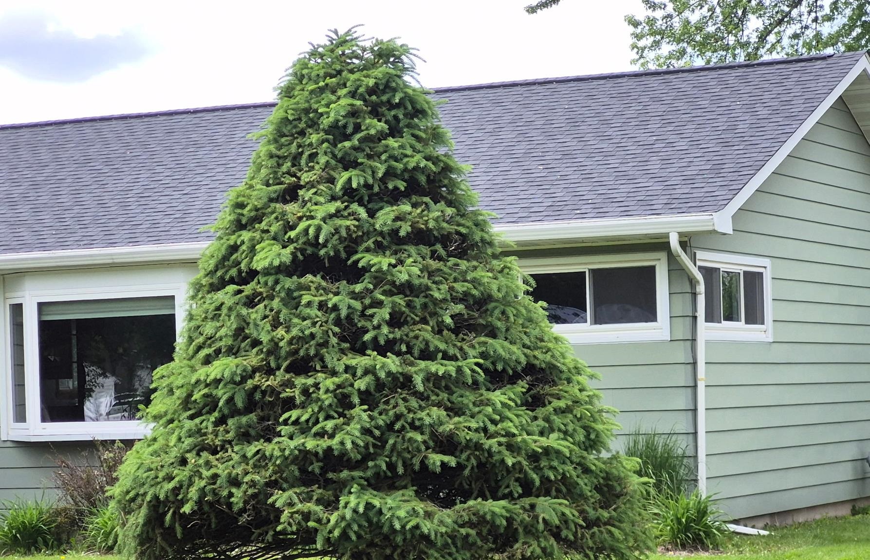 708 S FELKER AVENUE, Marshfield, Wisconsin 54449, 3 Bedrooms Bedrooms, ,2 BathroomsBathrooms,Residential,For Sale,708 S FELKER AVENUE,22602602