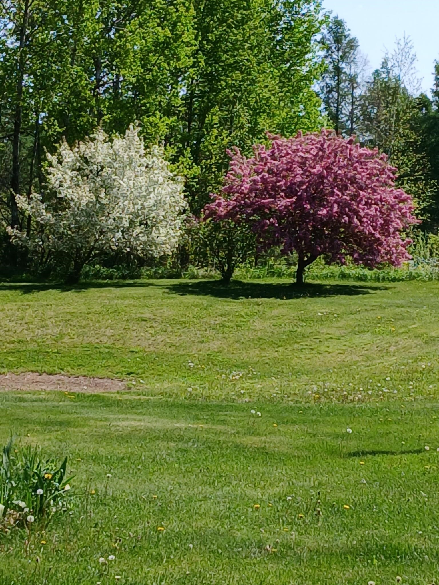 6854 ZETT ROAD, LORETTA, Wisconsin 54896, 3 Bedrooms Bedrooms, ,2 BathroomsBathrooms,Residential,For Sale,6854 ZETT ROAD,22602613