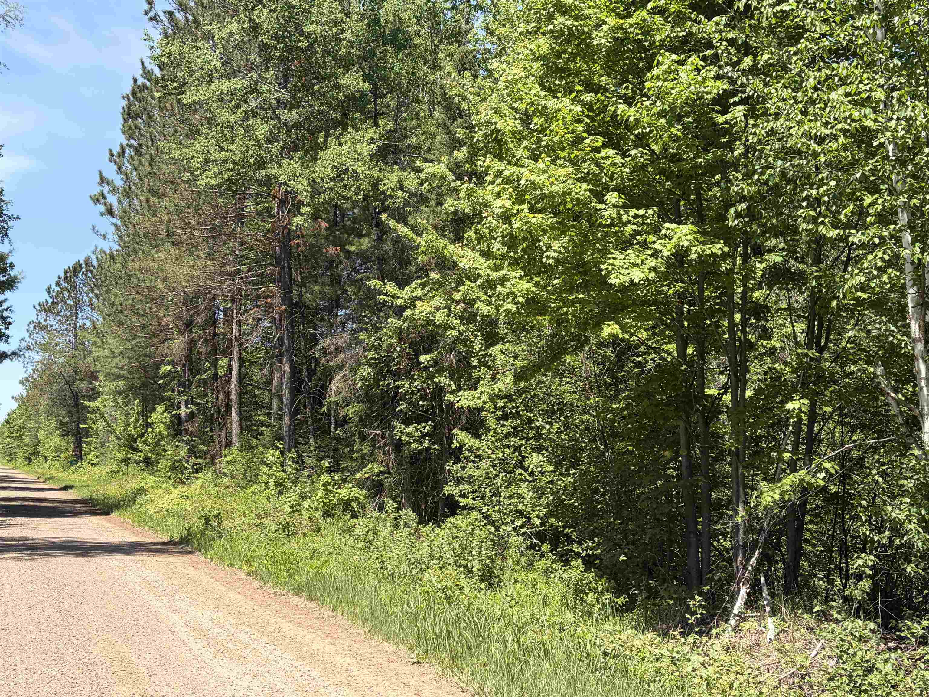 On WILSON SCHOOL ROAD, Tomahawk, Wisconsin 54487, ,Land,For Sale,On WILSON SCHOOL ROAD,22602637