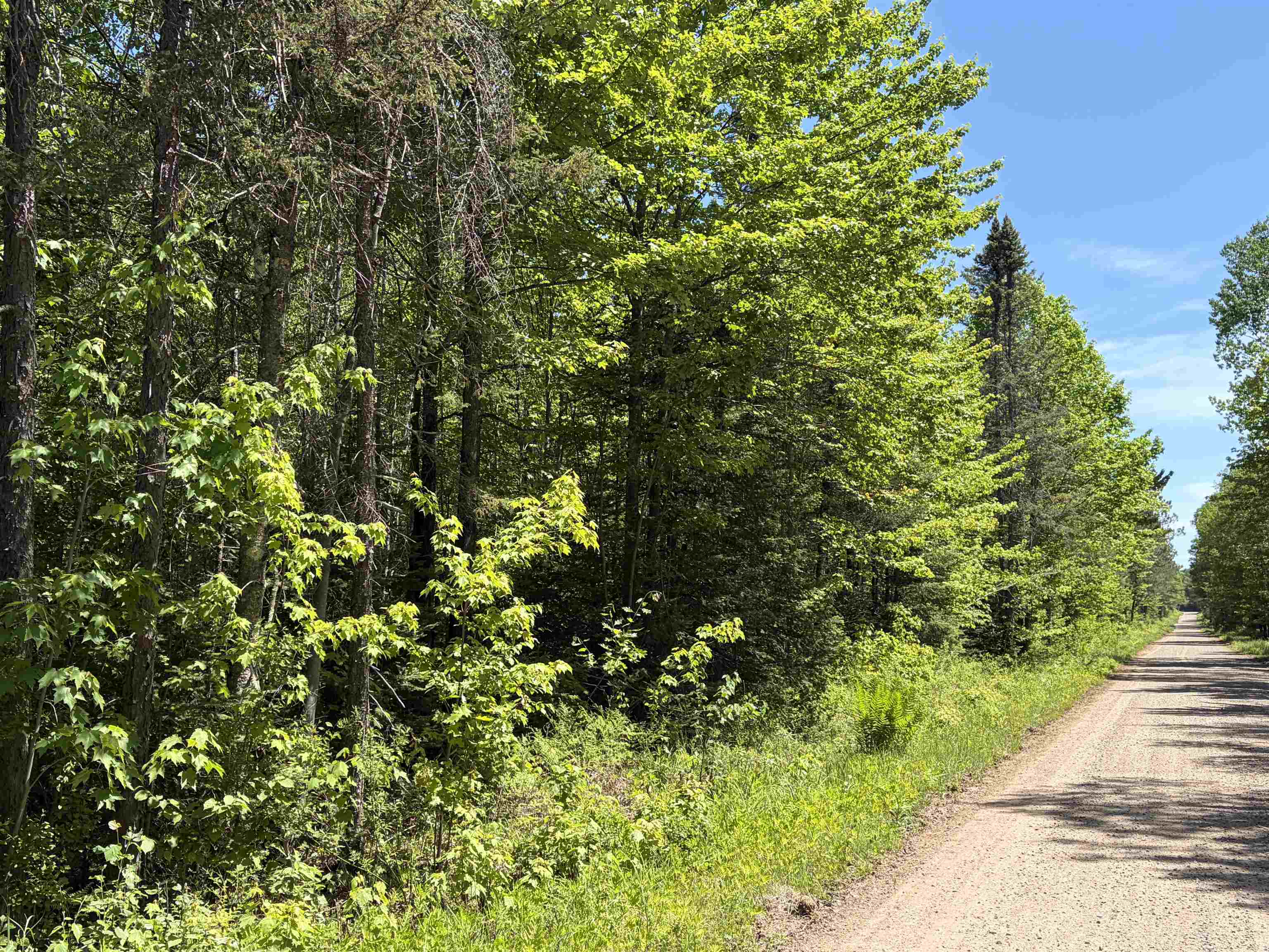 On WILSON SCHOOL ROAD, Tomahawk, Wisconsin 54487, ,Land,For Sale,On WILSON SCHOOL ROAD,22602637