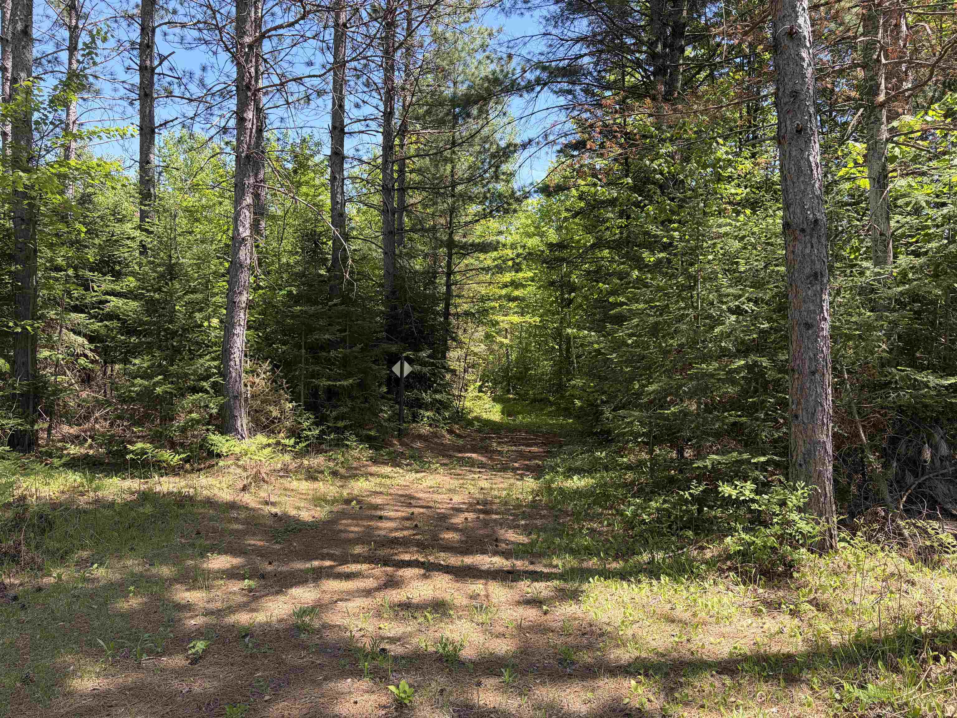 On WILSON SCHOOL ROAD, Tomahawk, Wisconsin 54487, ,Land,For Sale,On WILSON SCHOOL ROAD,22602637