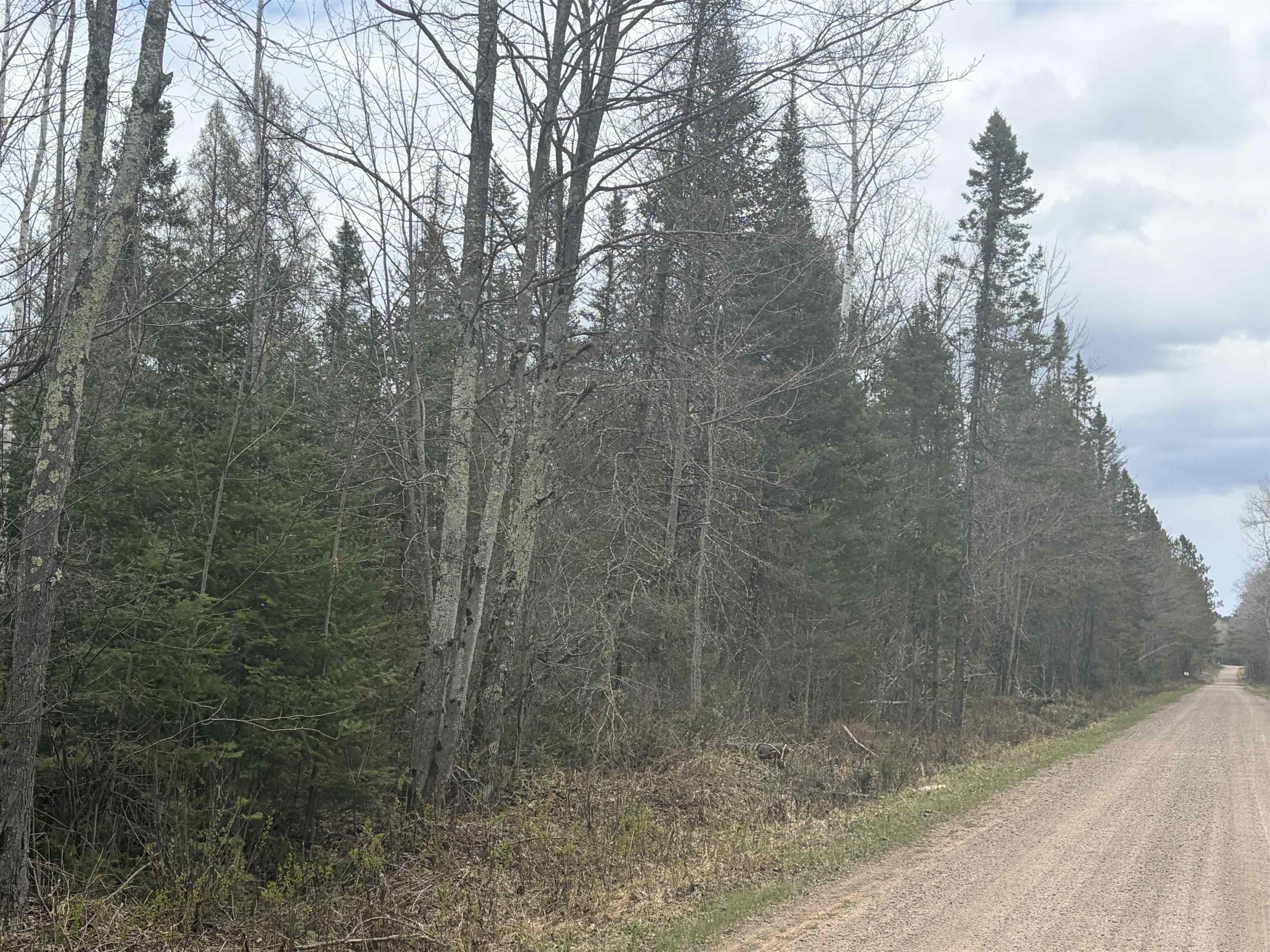 On WILSON SCHOOL ROAD, Tomahawk, Wisconsin 54487, ,Land,For Sale,On WILSON SCHOOL ROAD,22602637