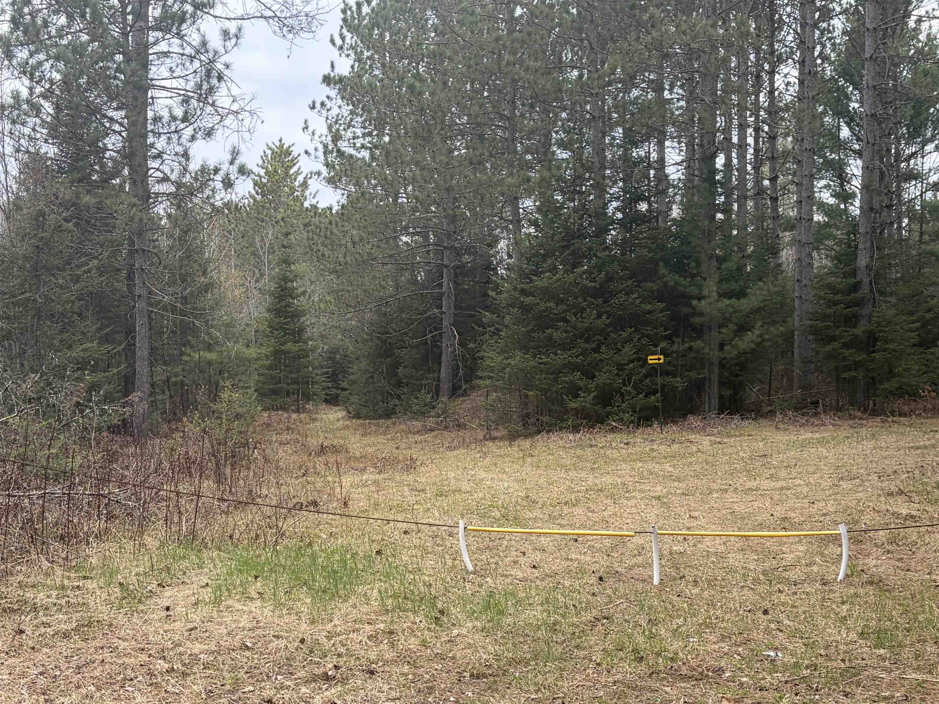 On WILSON SCHOOL ROAD, Tomahawk, Wisconsin 54487, ,Land,For Sale,On WILSON SCHOOL ROAD,22602637