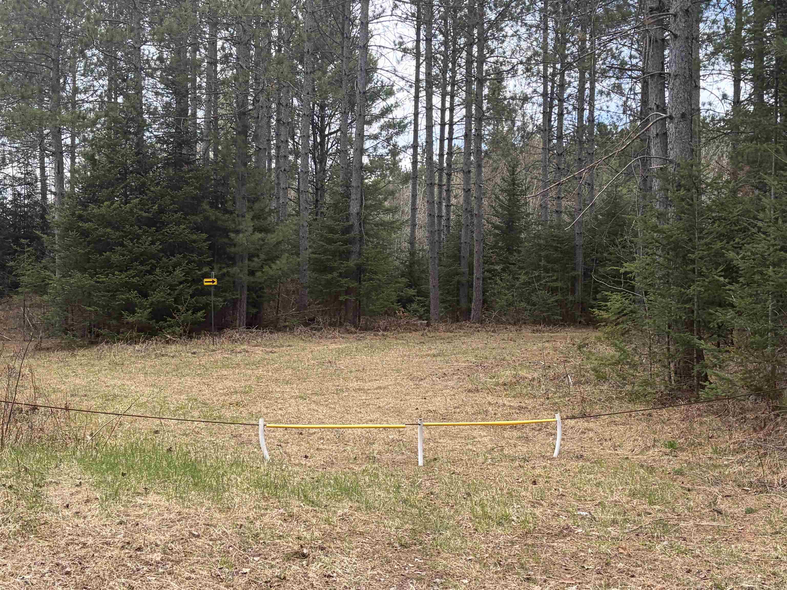 On WILSON SCHOOL ROAD, Tomahawk, Wisconsin 54487, ,Land,For Sale,On WILSON SCHOOL ROAD,22602637