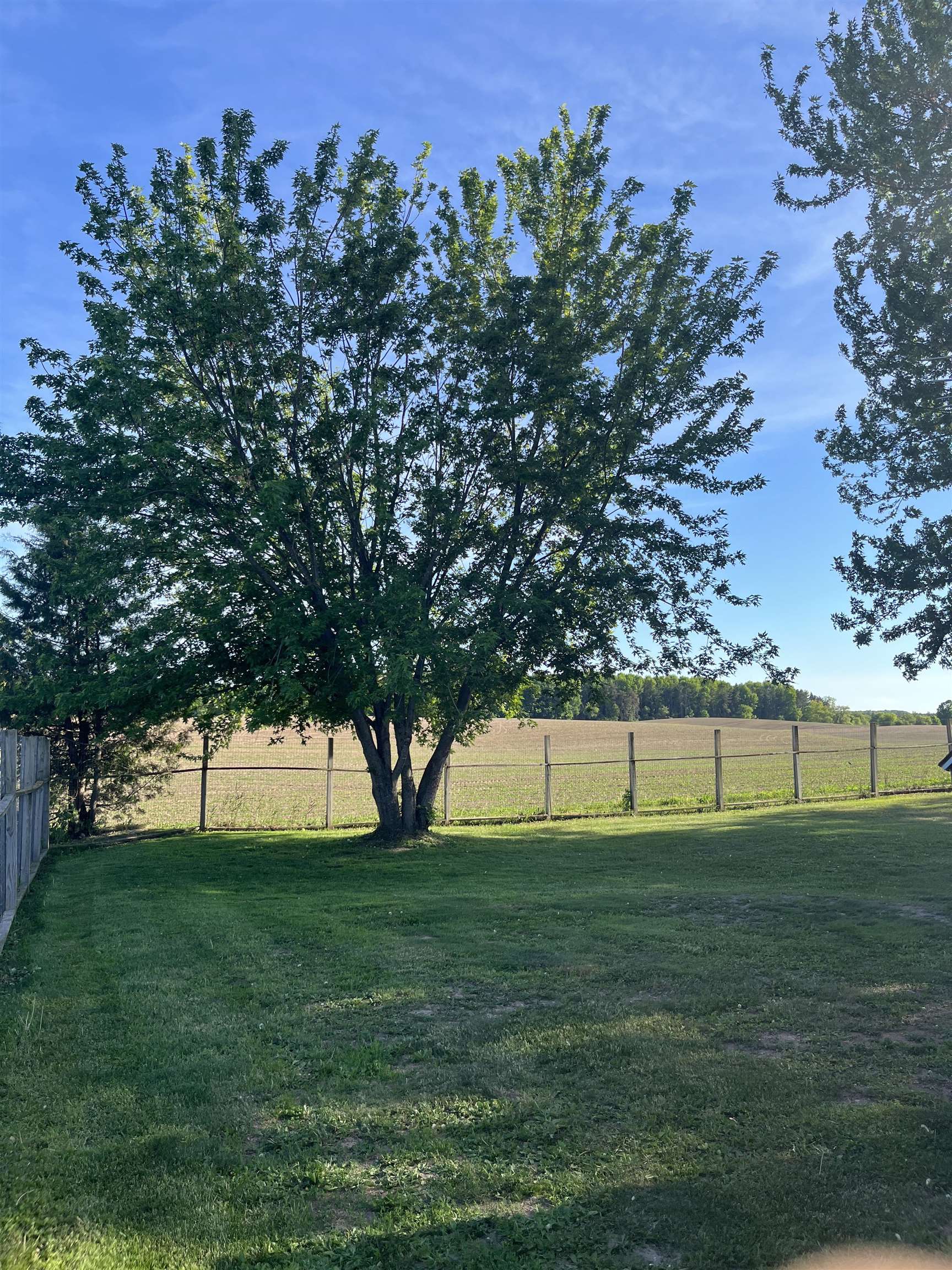 182347 BIRNAMWOOD ROAD, Birnamwood, Wisconsin 54414, 4 Bedrooms Bedrooms, ,2 BathroomsBathrooms,Residential,For Sale,182347 BIRNAMWOOD ROAD,22602657