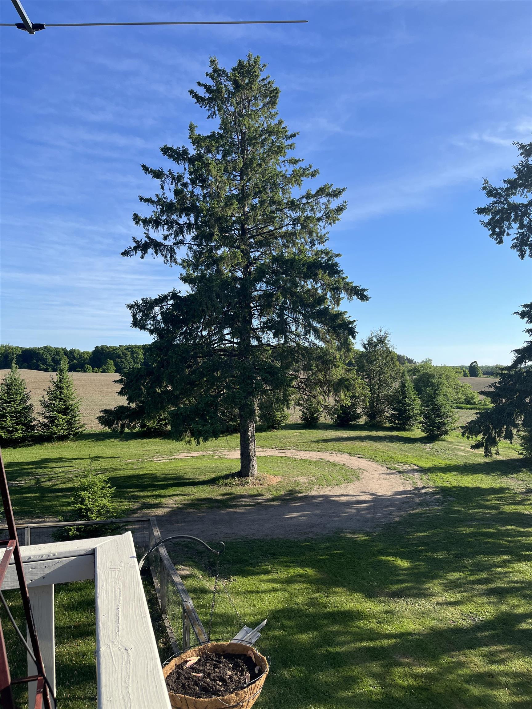 182347 BIRNAMWOOD ROAD, Birnamwood, Wisconsin 54414, 4 Bedrooms Bedrooms, ,2 BathroomsBathrooms,Residential,For Sale,182347 BIRNAMWOOD ROAD,22602657