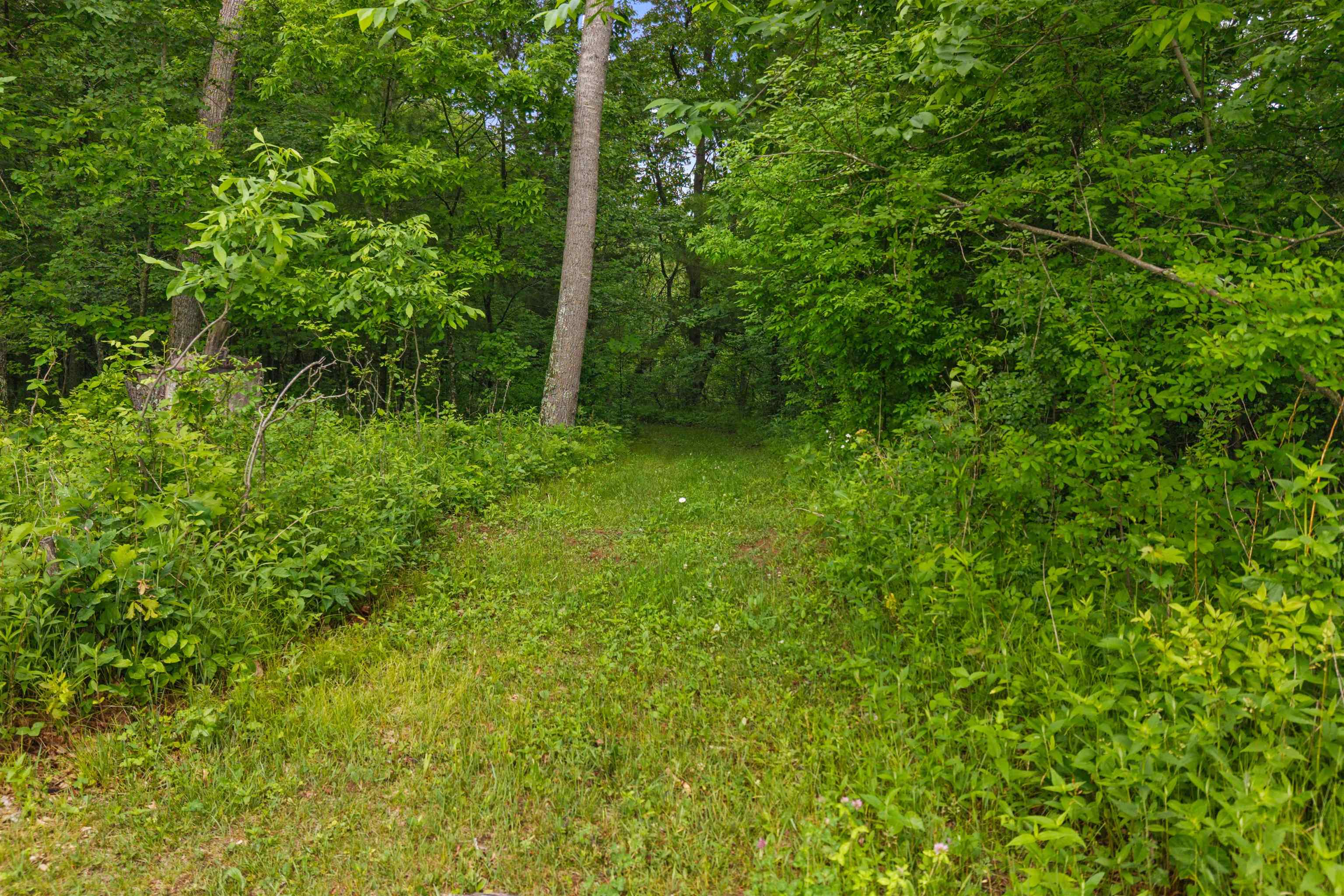 767 MCKEEL ROAD, Babcock, Wisconsin 54413, 4 Bedrooms Bedrooms, ,2 BathroomsBathrooms,Residential,For Sale,767 MCKEEL ROAD,22602663