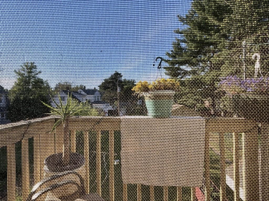 810 HENRIETTA STREET, Wausau, Wisconsin 54403, 2 Bedrooms Bedrooms, ,1 BathroomBathrooms,Multi-family,For Sale,810 HENRIETTA STREET,22602668