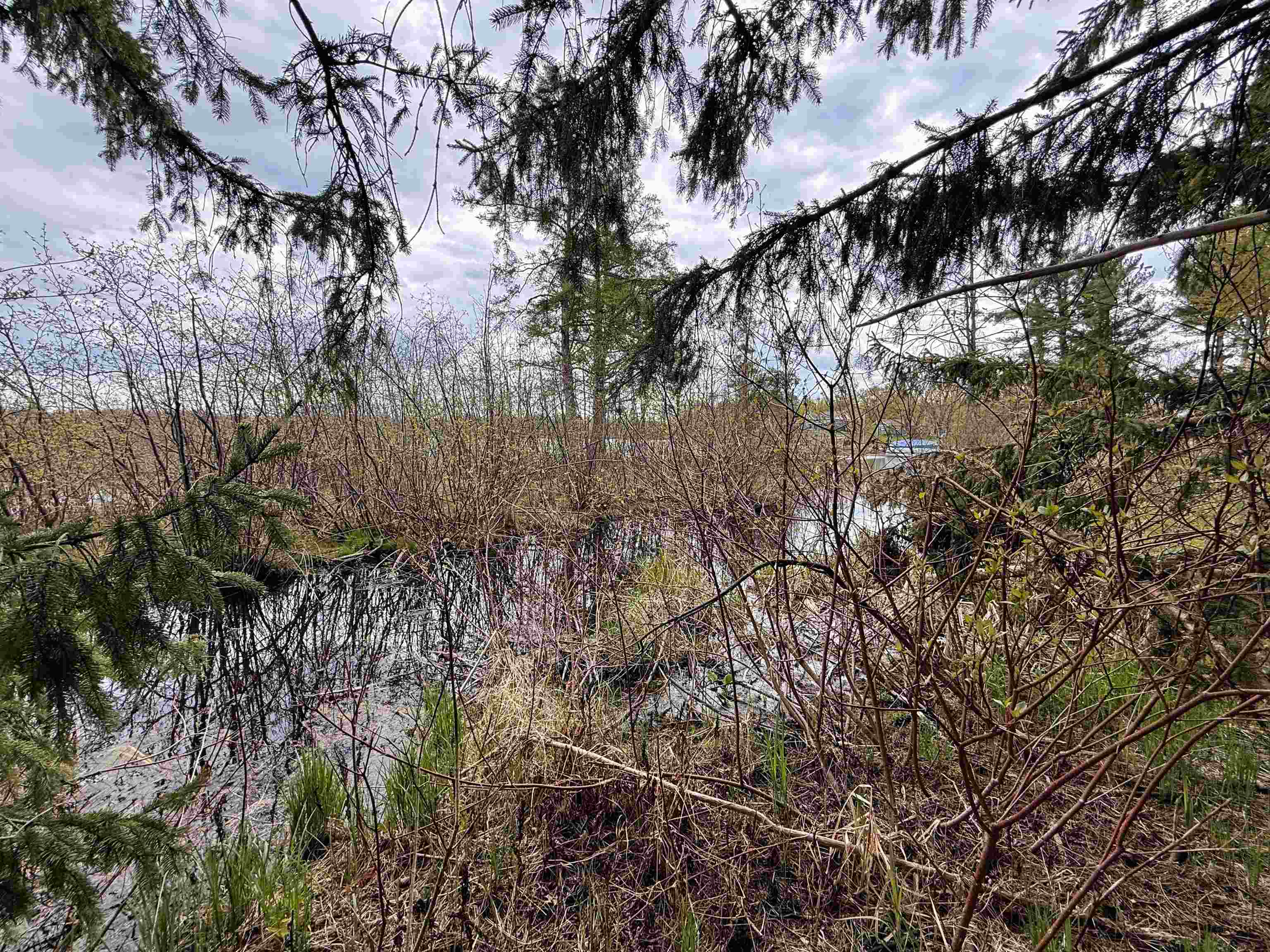 1.08 Acres LOON BAY LANE, Hatley, Wisconsin 54440, ,Land,For Sale,1.08 Acres LOON BAY LANE,22602682