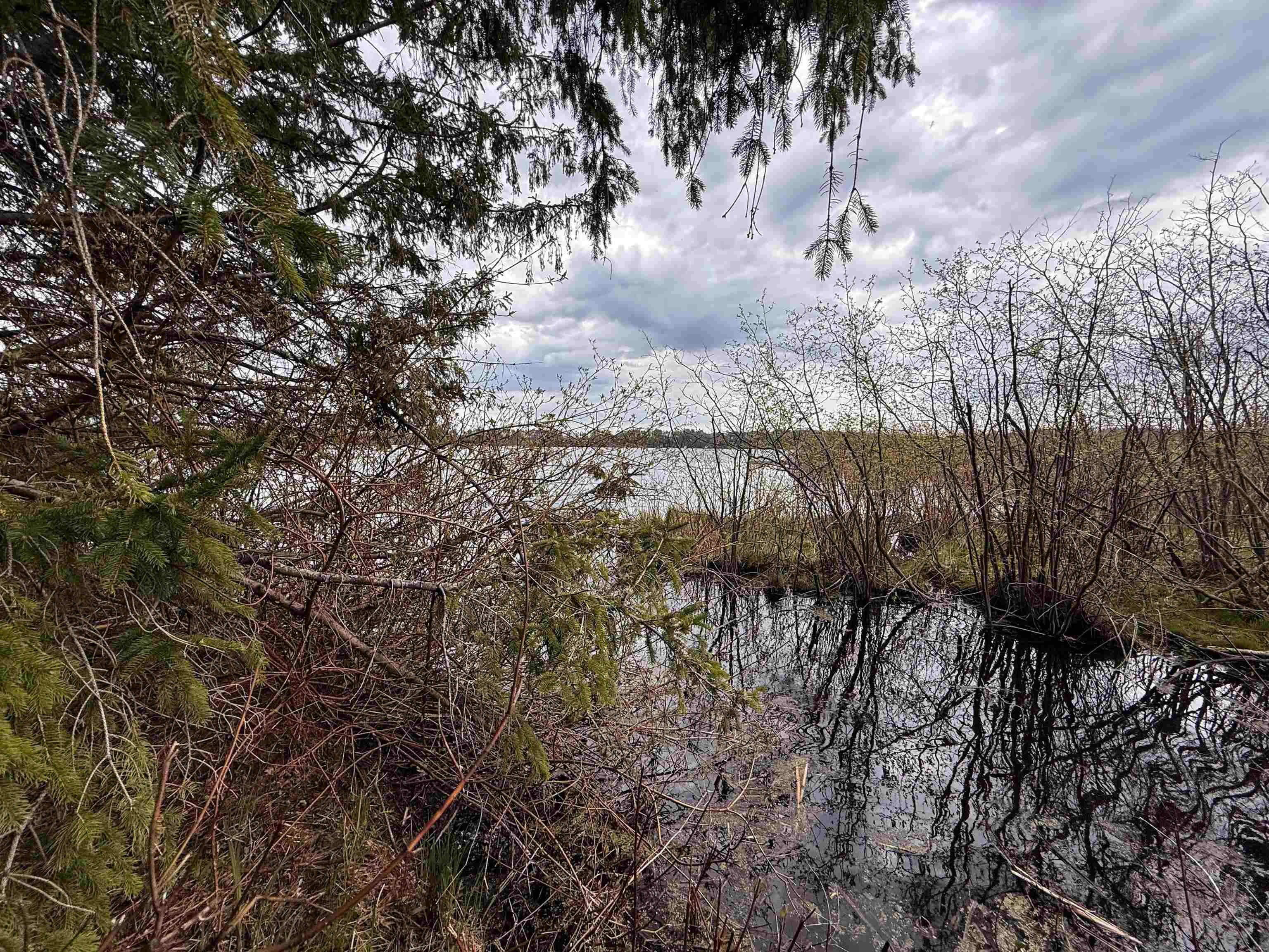 1.08 Acres LOON BAY LANE, Hatley, Wisconsin 54440, ,Land,For Sale,1.08 Acres LOON BAY LANE,22602682
