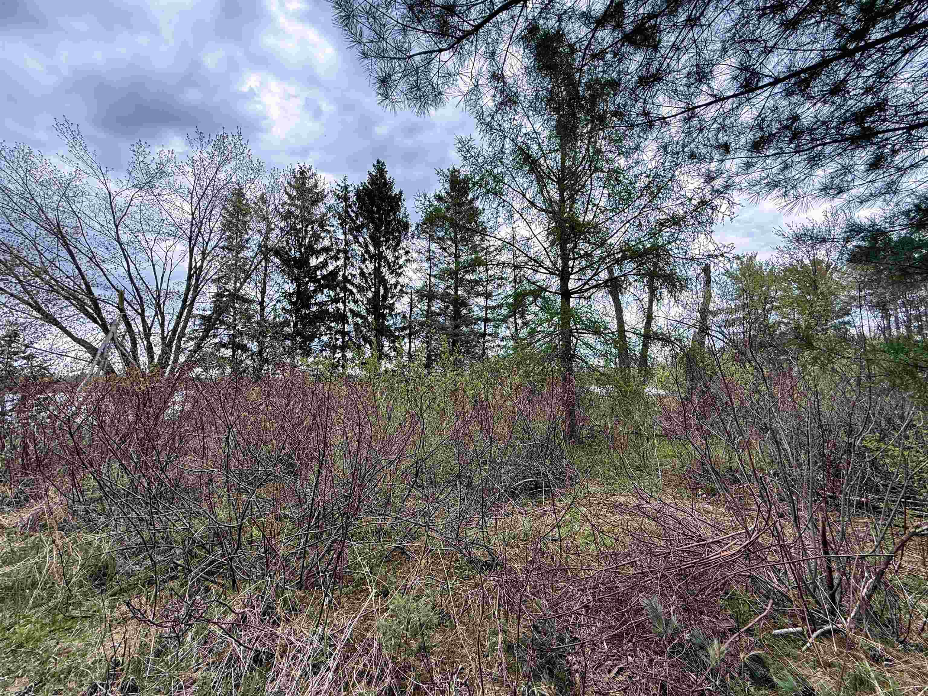 1.08 Acres LOON BAY LANE, Hatley, Wisconsin 54440, ,Land,For Sale,1.08 Acres LOON BAY LANE,22602682