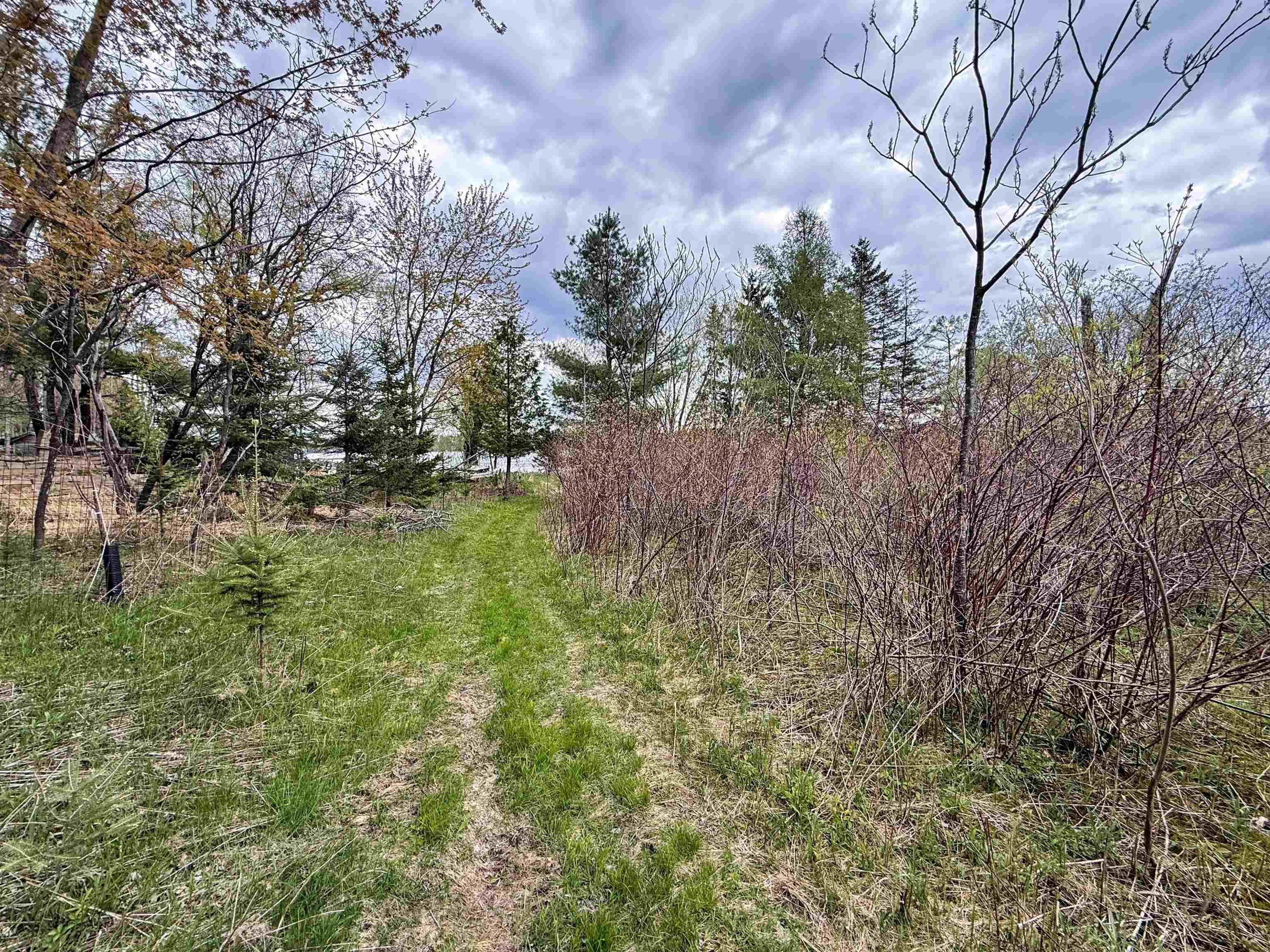 1.08 Acres LOON BAY LANE, Hatley, Wisconsin 54440, ,Land,For Sale,1.08 Acres LOON BAY LANE,22602682