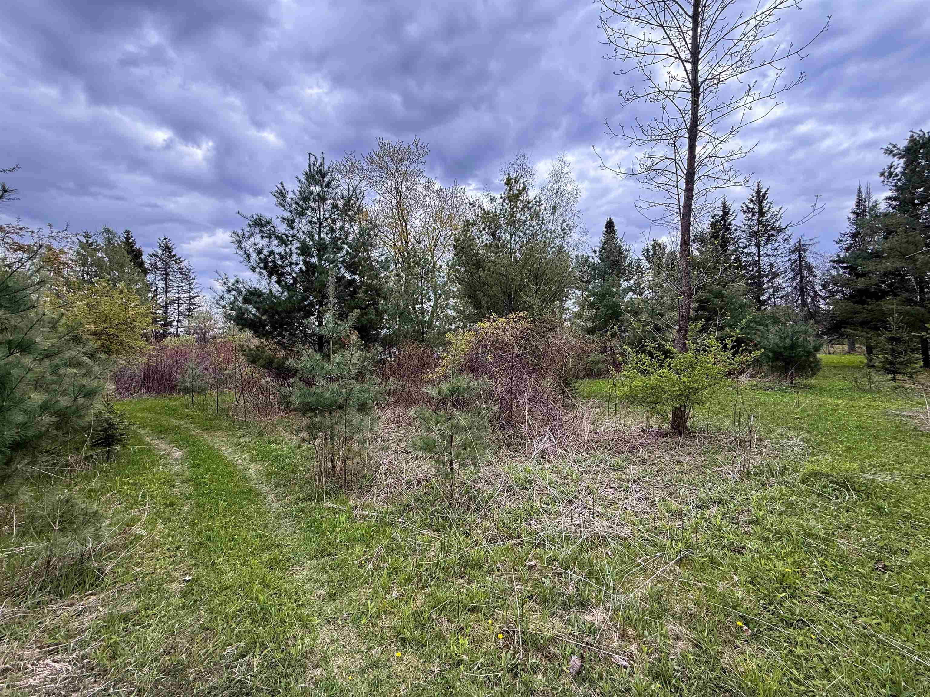 1.08 Acres LOON BAY LANE, Hatley, Wisconsin 54440, ,Land,For Sale,1.08 Acres LOON BAY LANE,22602682