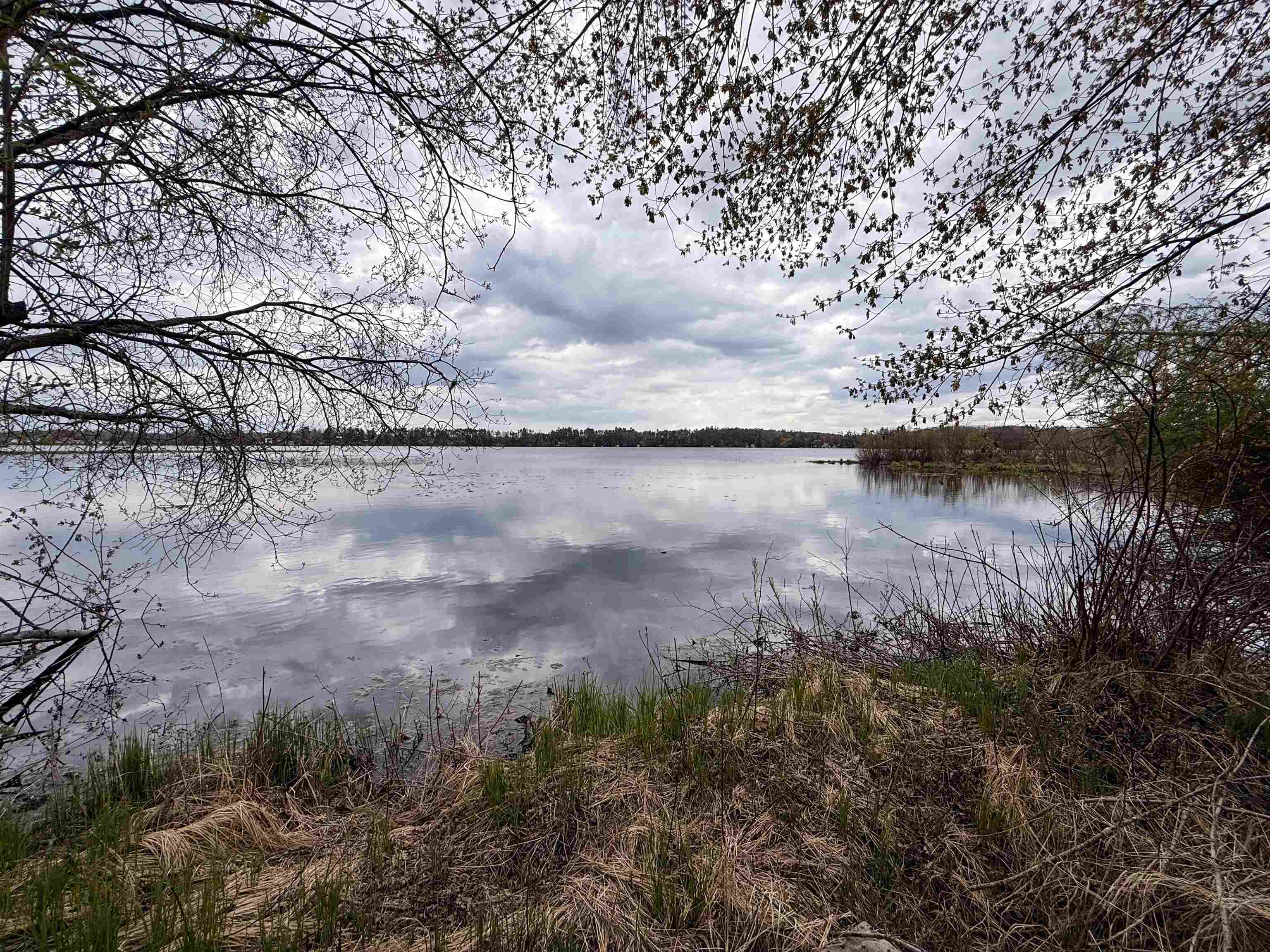 1.08 Acres LOON BAY LANE, Hatley, Wisconsin 54440, ,Land,For Sale,1.08 Acres LOON BAY LANE,22602682
