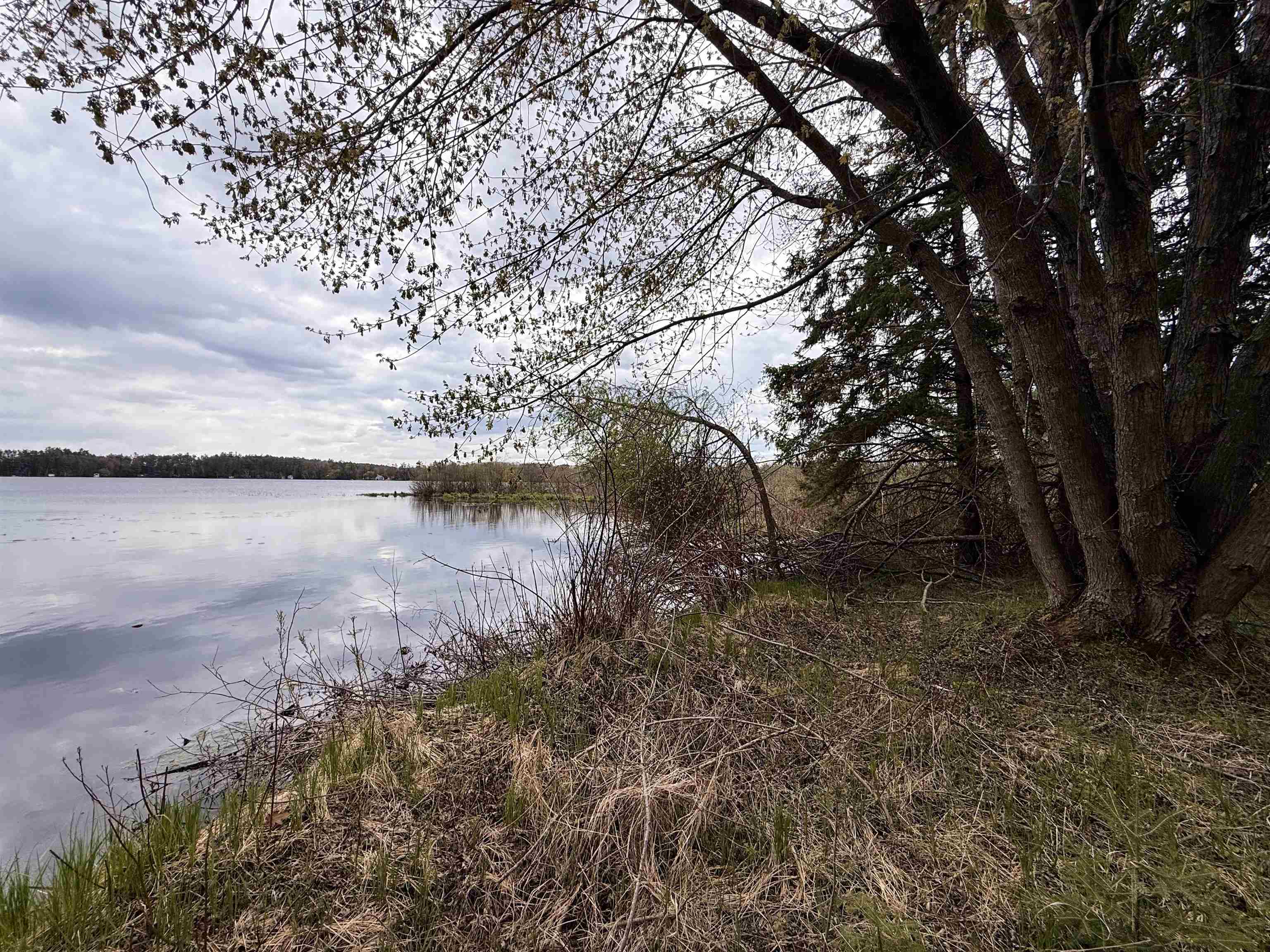 1.08 Acres LOON BAY LANE, Hatley, Wisconsin 54440, ,Land,For Sale,1.08 Acres LOON BAY LANE,22602682