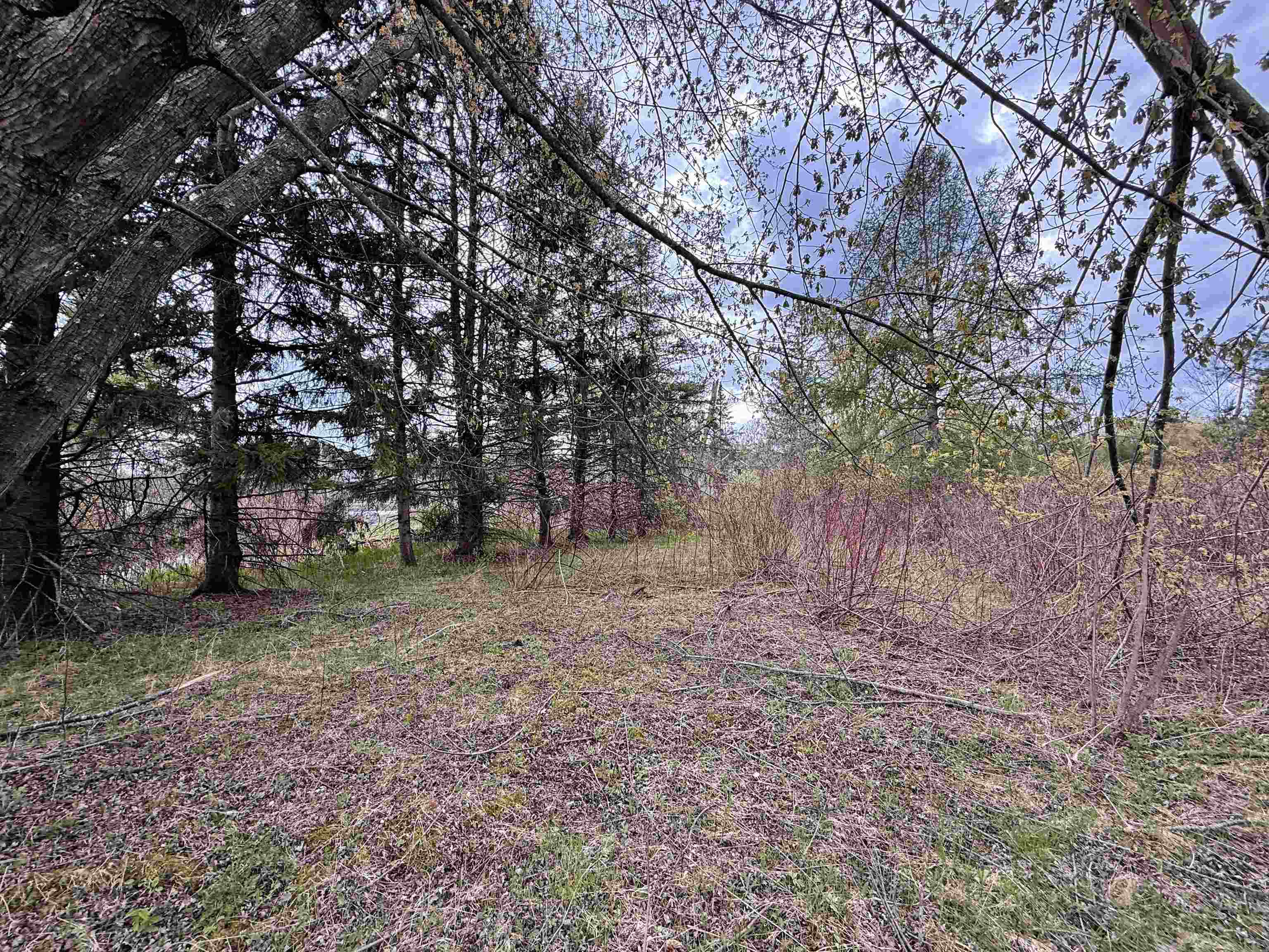 1.08 Acres LOON BAY LANE, Hatley, Wisconsin 54440, ,Land,For Sale,1.08 Acres LOON BAY LANE,22602682