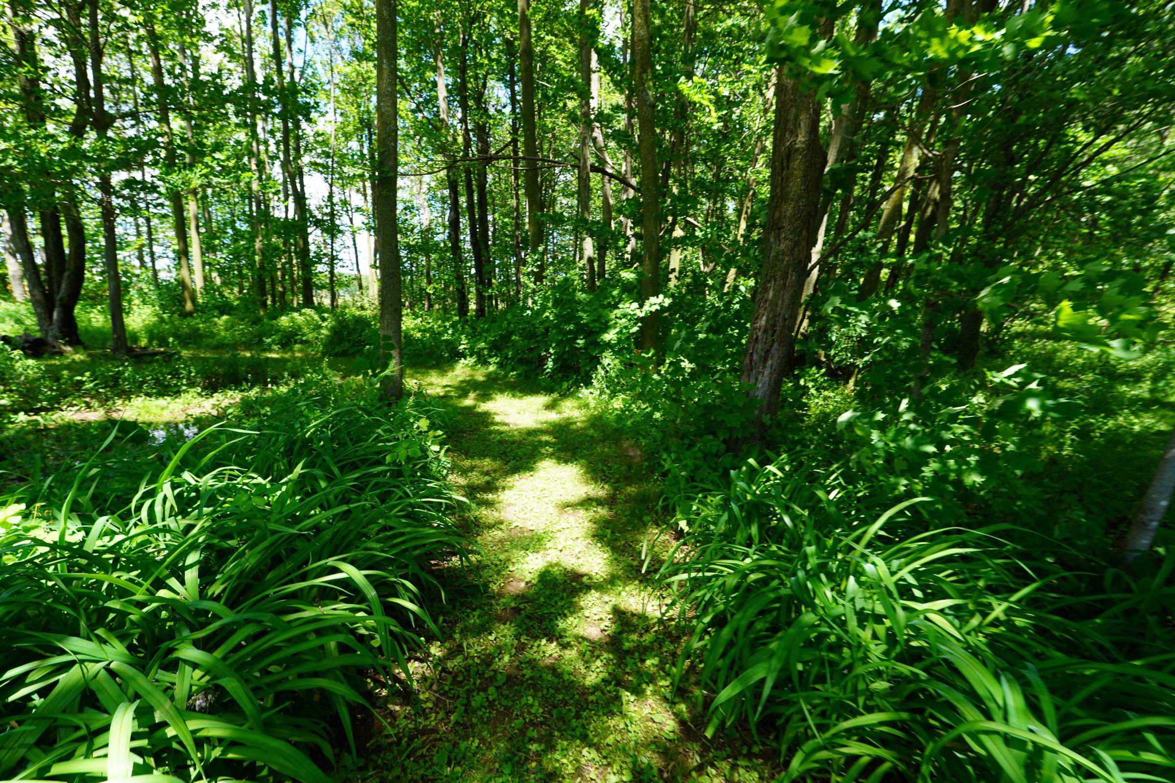 W1364 STATE HIGHWAY 64, Medford, Wisconsin 54451, 3 Bedrooms Bedrooms, ,2 BathroomsBathrooms,Residential,For Sale,W1364 STATE HIGHWAY 64,22602726