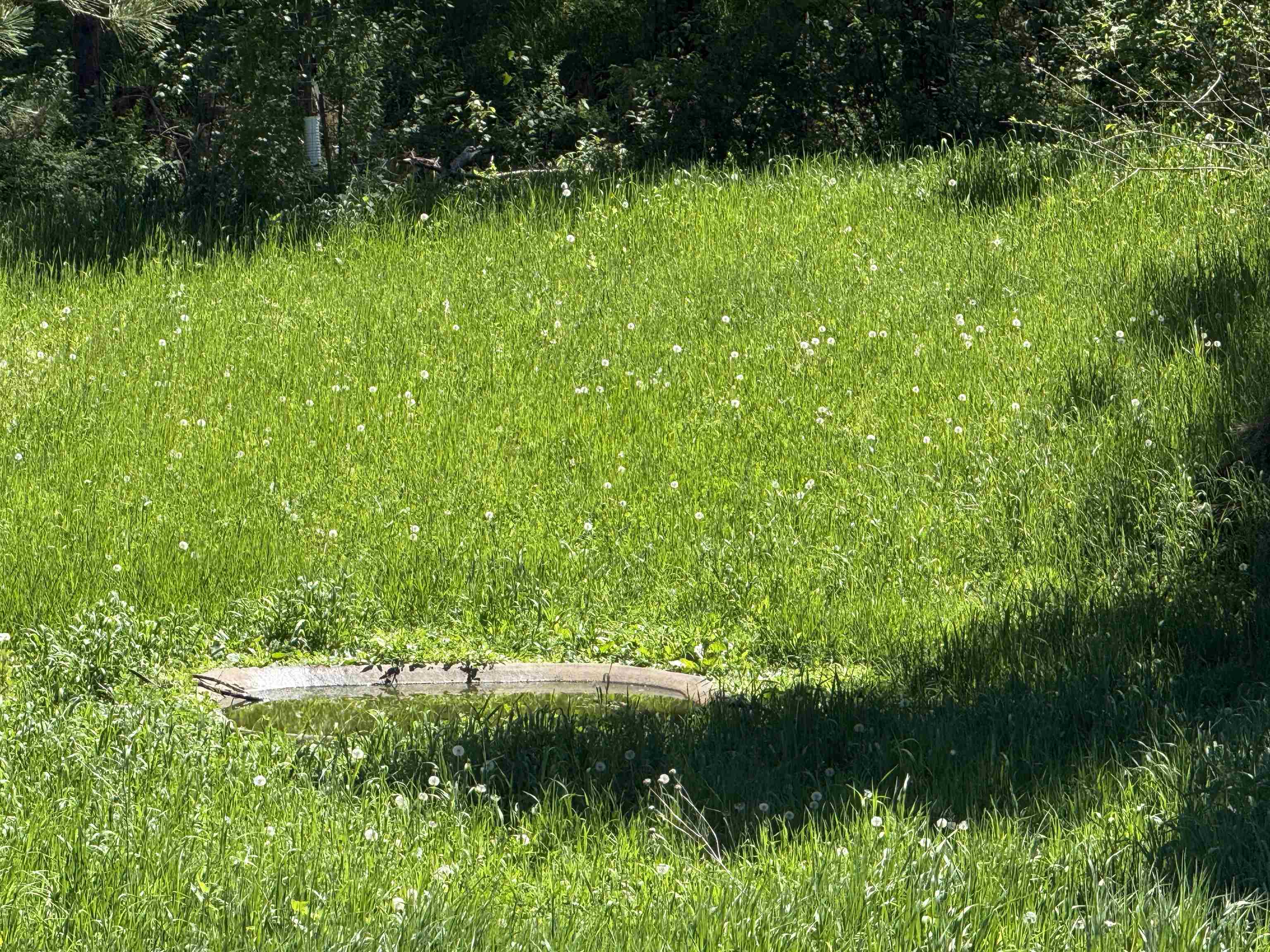 9523 RIVER ROAD, Amherst, Wisconsin 54406, ,Commercial/industrial,For Sale,9523 RIVER ROAD,22602753