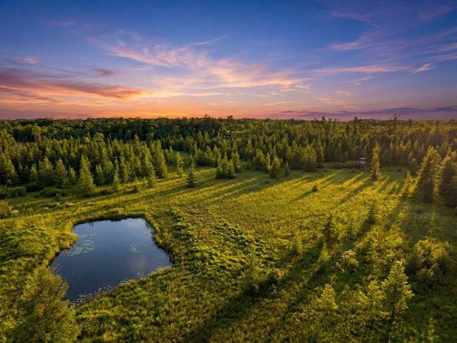 00 HOLST ROAD, Pittsville, Wisconsin 54466, ,Land,For Sale,00 HOLST ROAD,22602766