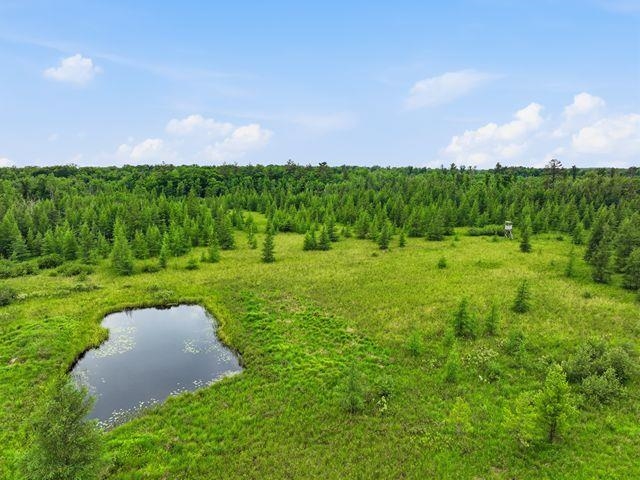 00 HOLST ROAD, Pittsville, Wisconsin 54466, ,Land,For Sale,00 HOLST ROAD,22602766