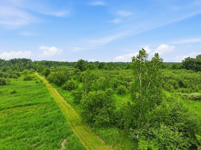 00 HOLST ROAD, Pittsville, Wisconsin 54466, ,Land,For Sale,00 HOLST ROAD,22602766