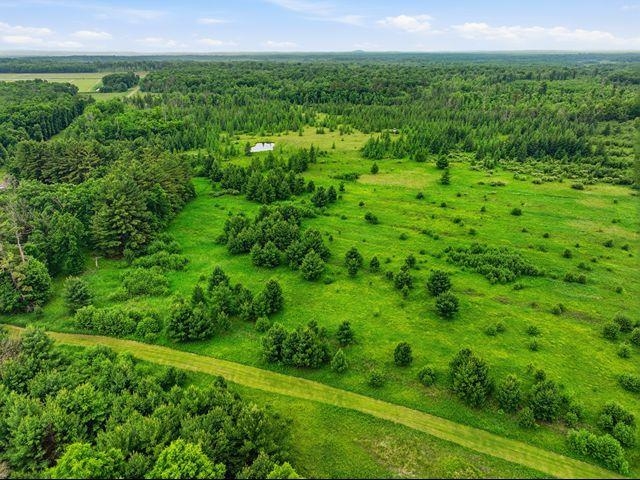 00 HOLST ROAD, Pittsville, Wisconsin 54466, ,Land,For Sale,00 HOLST ROAD,22602766