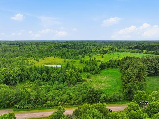 00 HOLST ROAD, Pittsville, Wisconsin 54466, ,Land,For Sale,00 HOLST ROAD,22602766