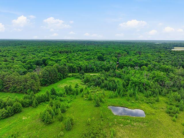 00 HOLST ROAD, Pittsville, Wisconsin 54466, ,Land,For Sale,00 HOLST ROAD,22602766